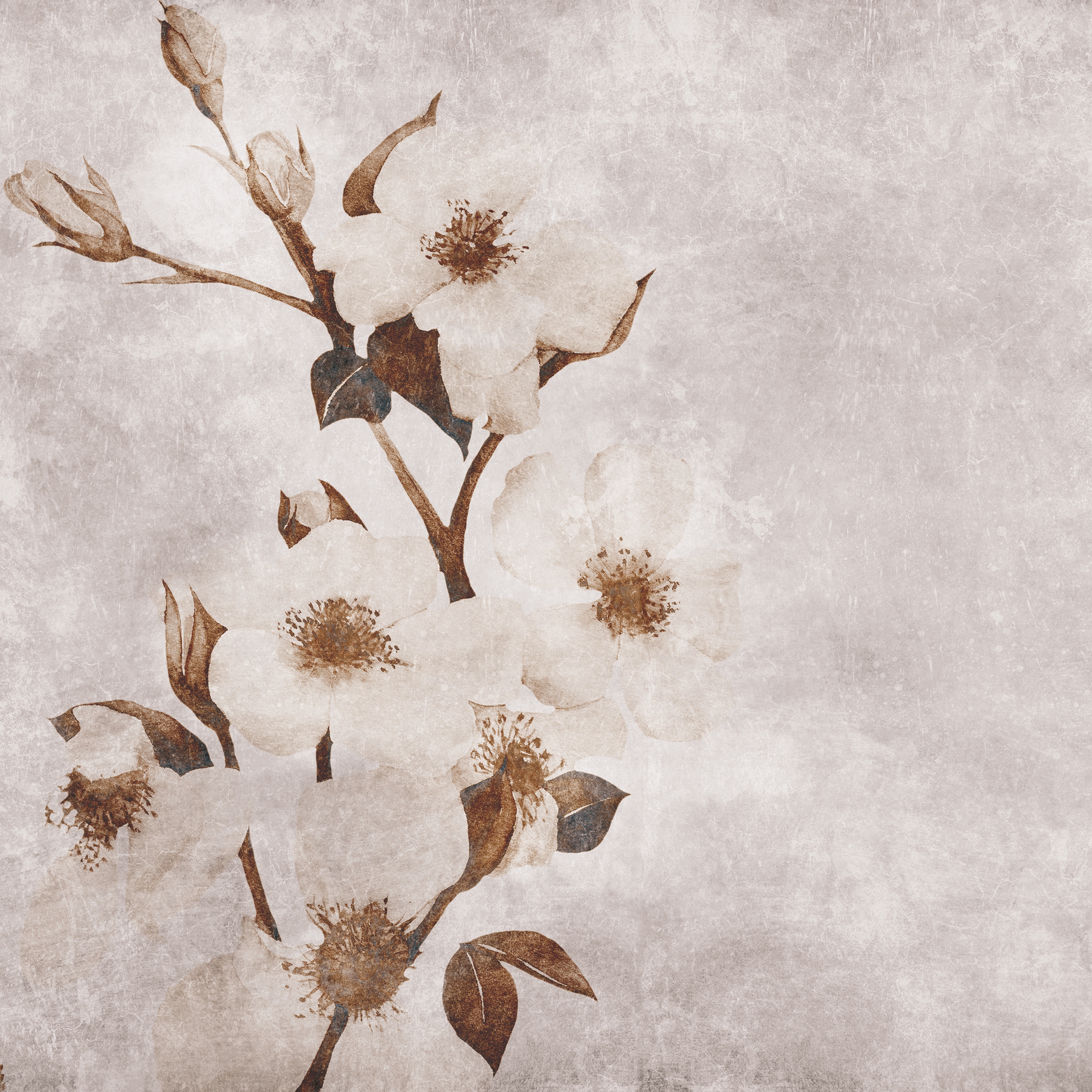 Winter Flower