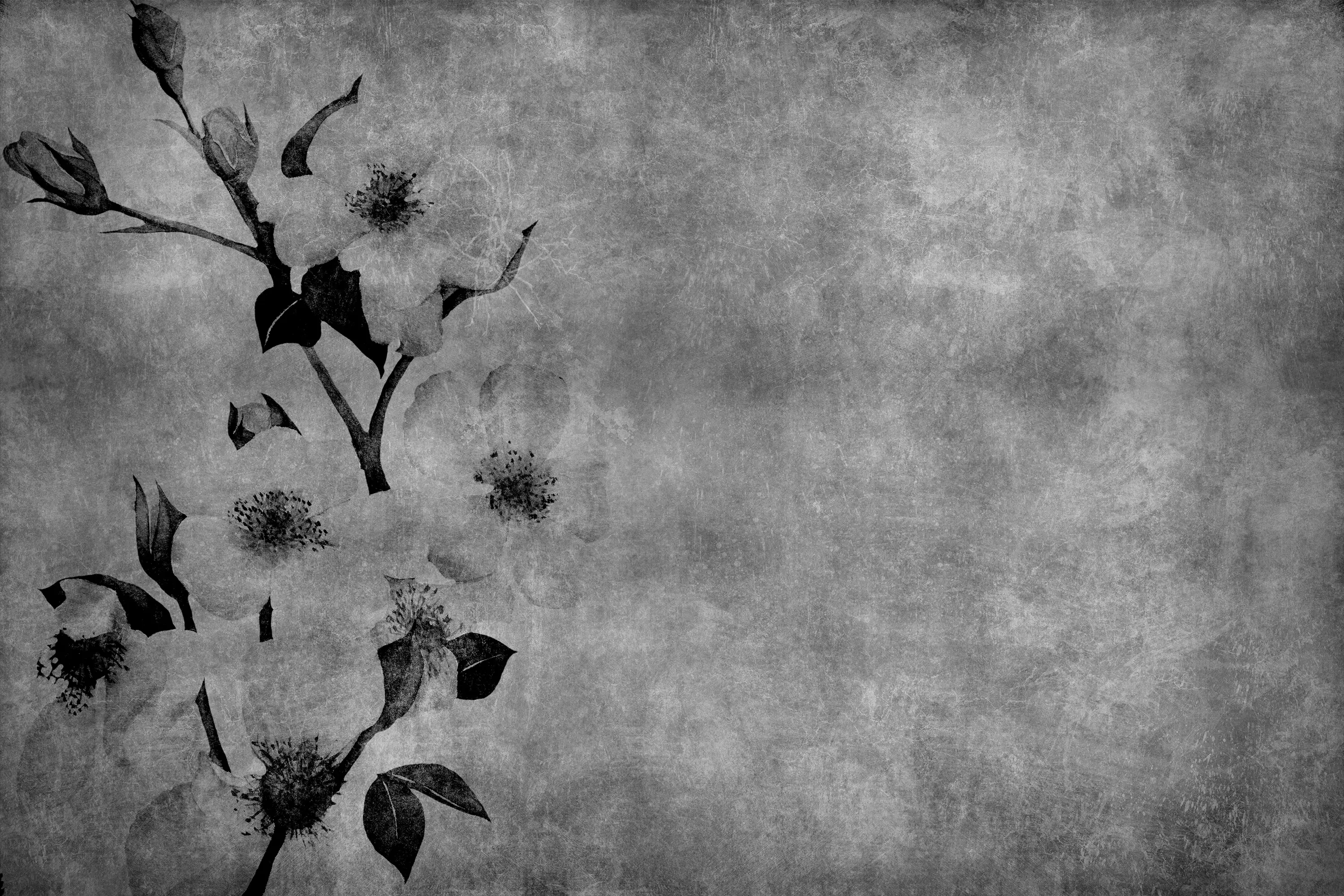 INSTABILELAB - Winter Flower