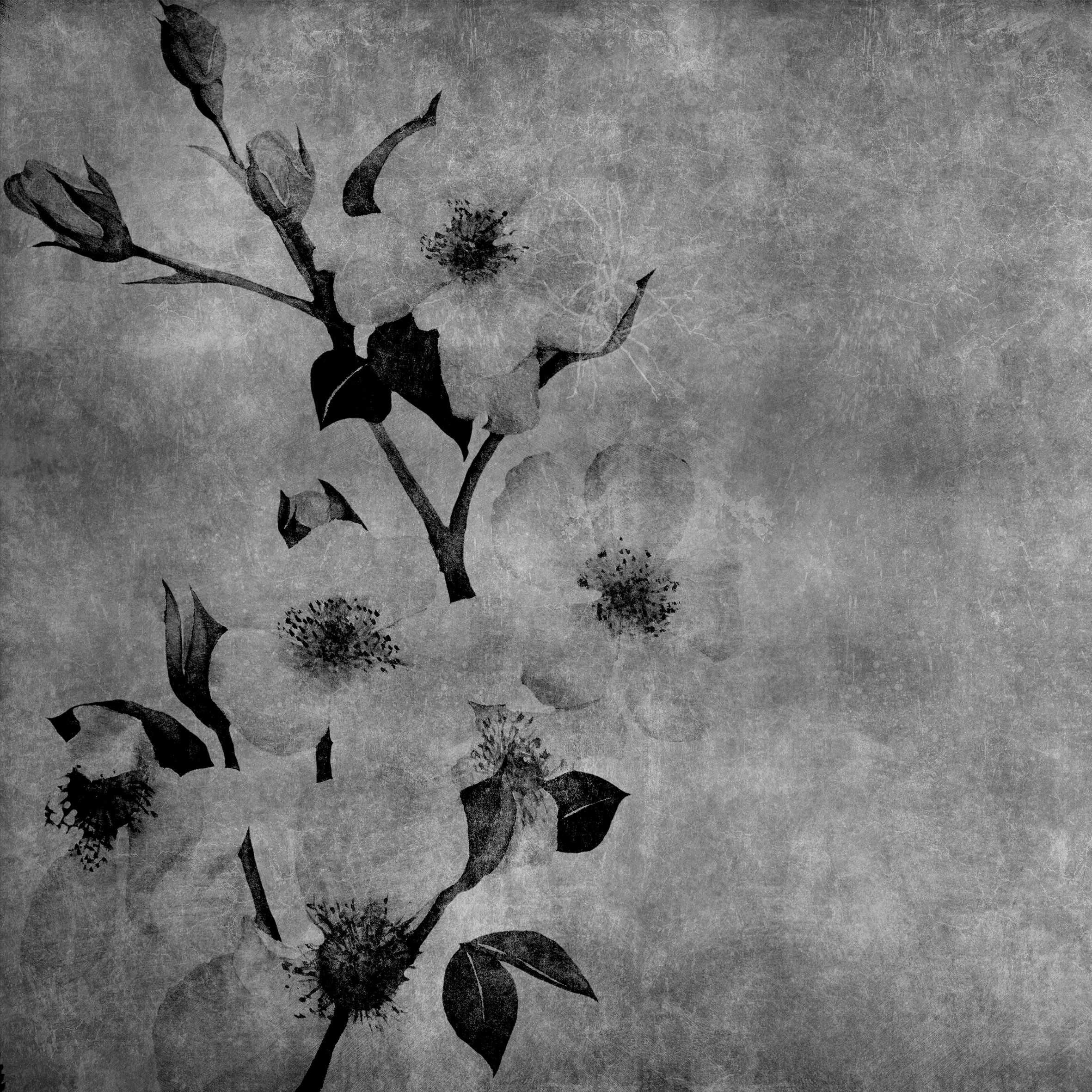 Winter Flower