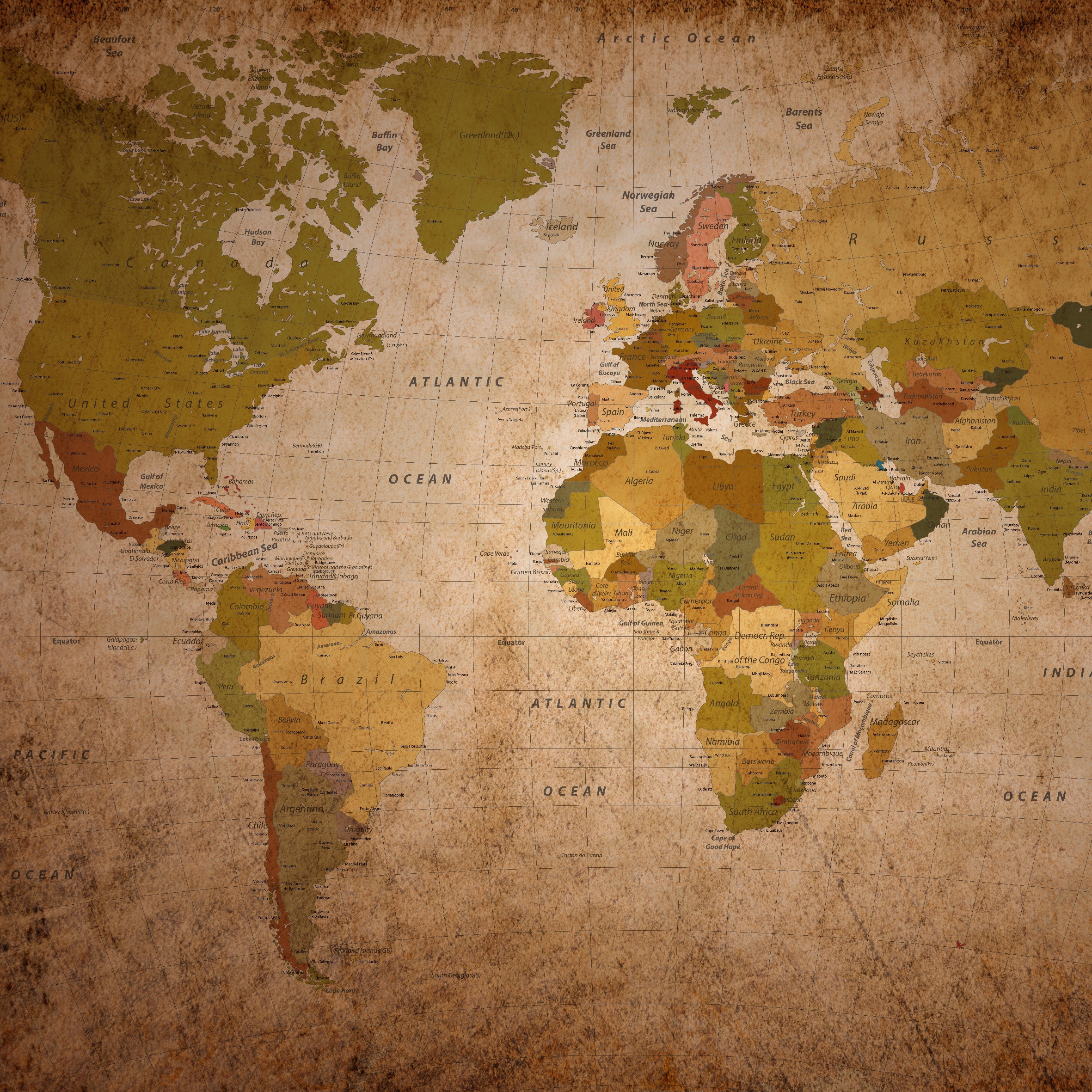 World Map