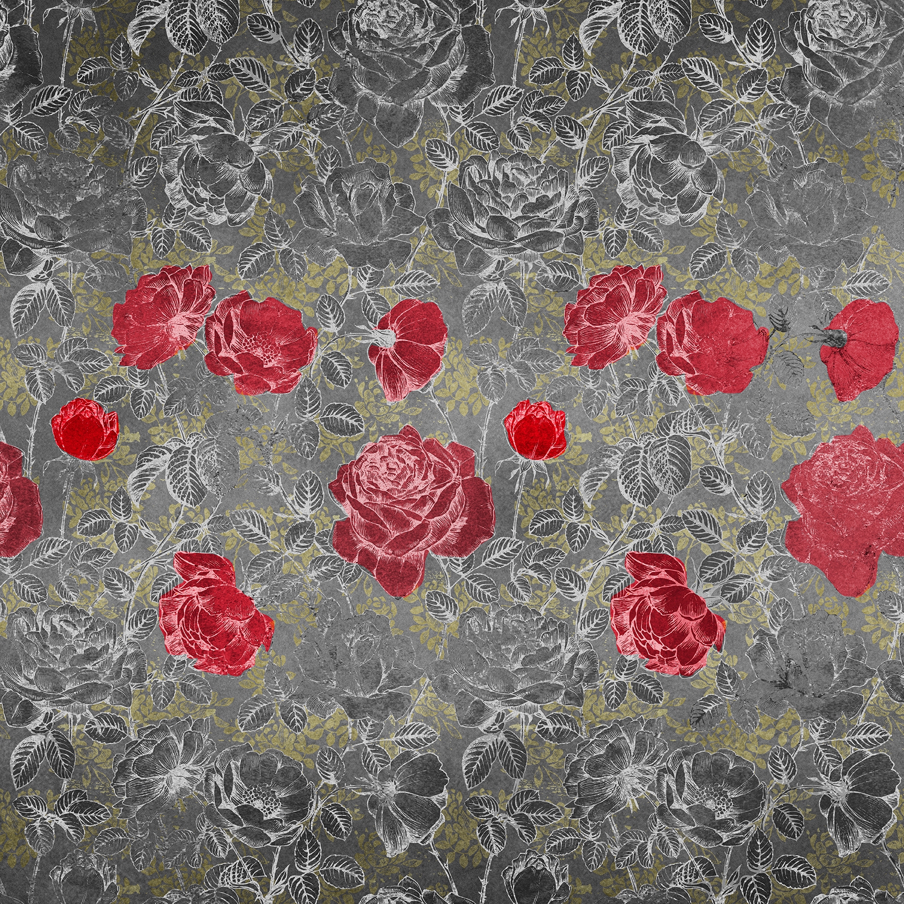Decor | Rosè