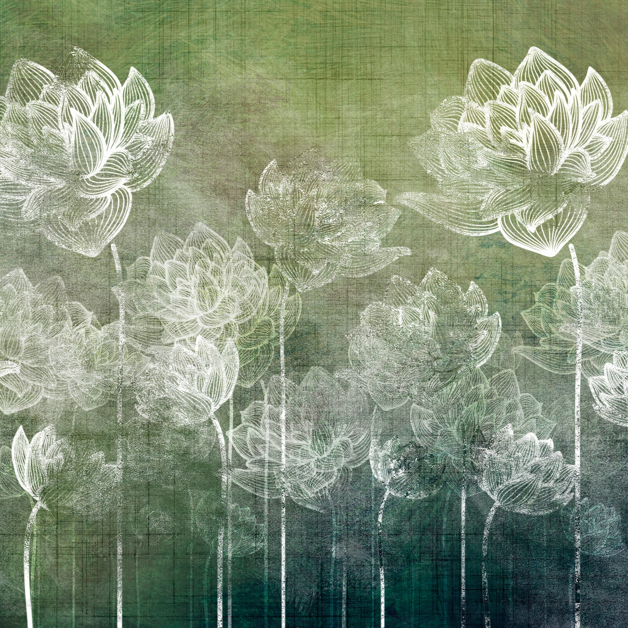 Decor | Tulip