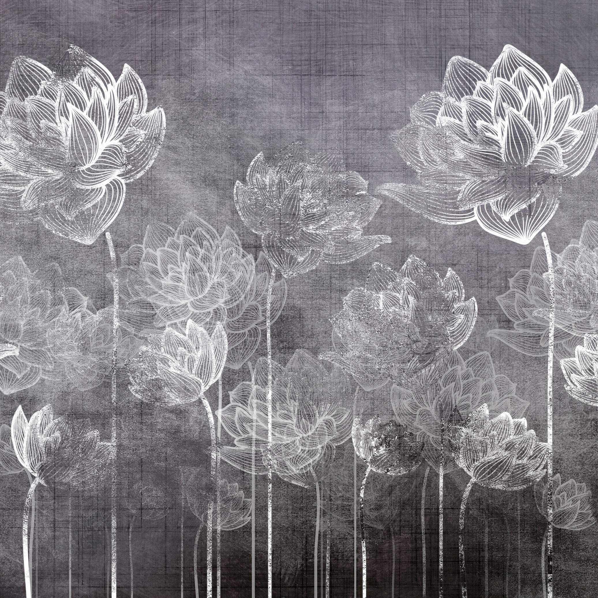 Decor | Tulip