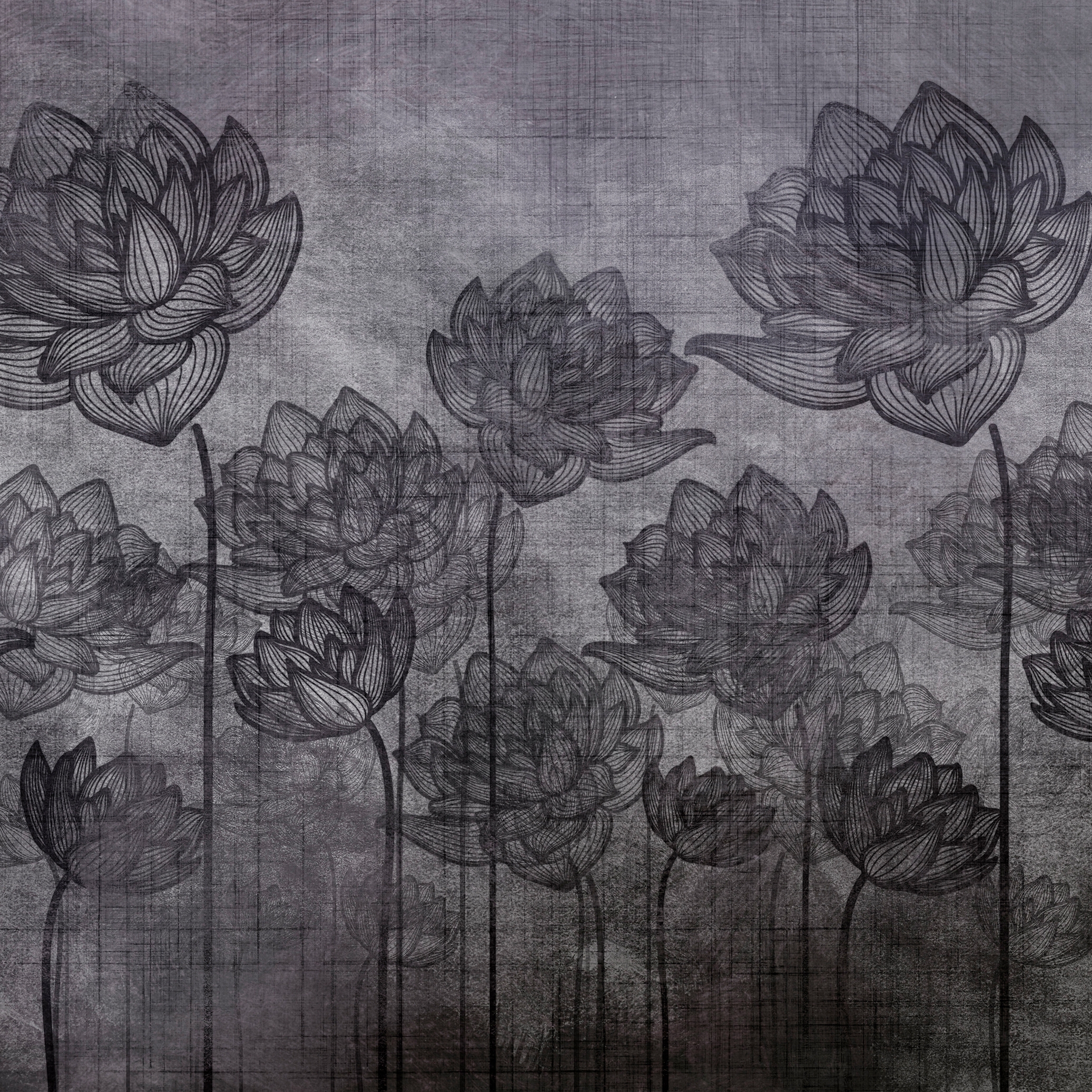 Decor | Tulip