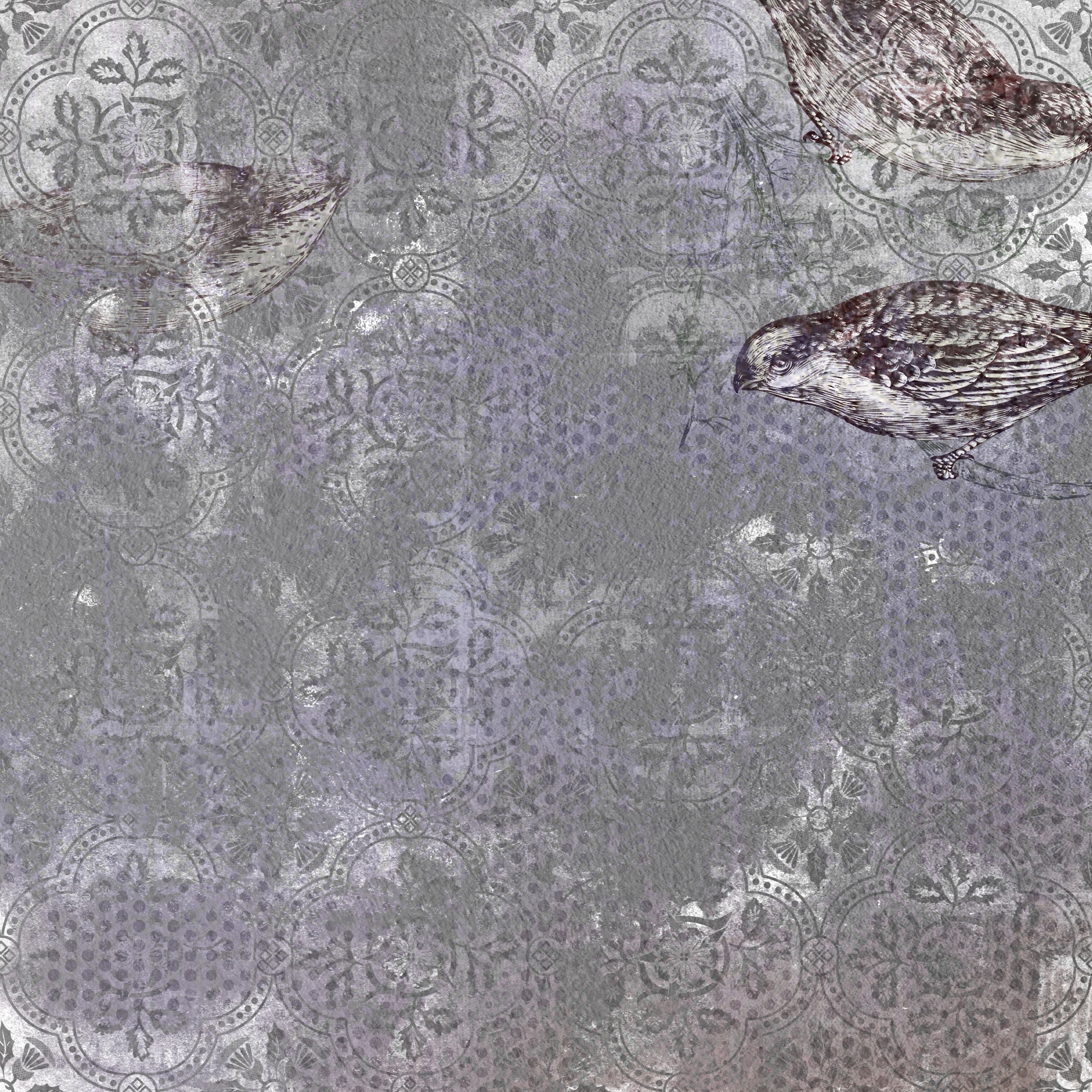 Fantasy | The Birds