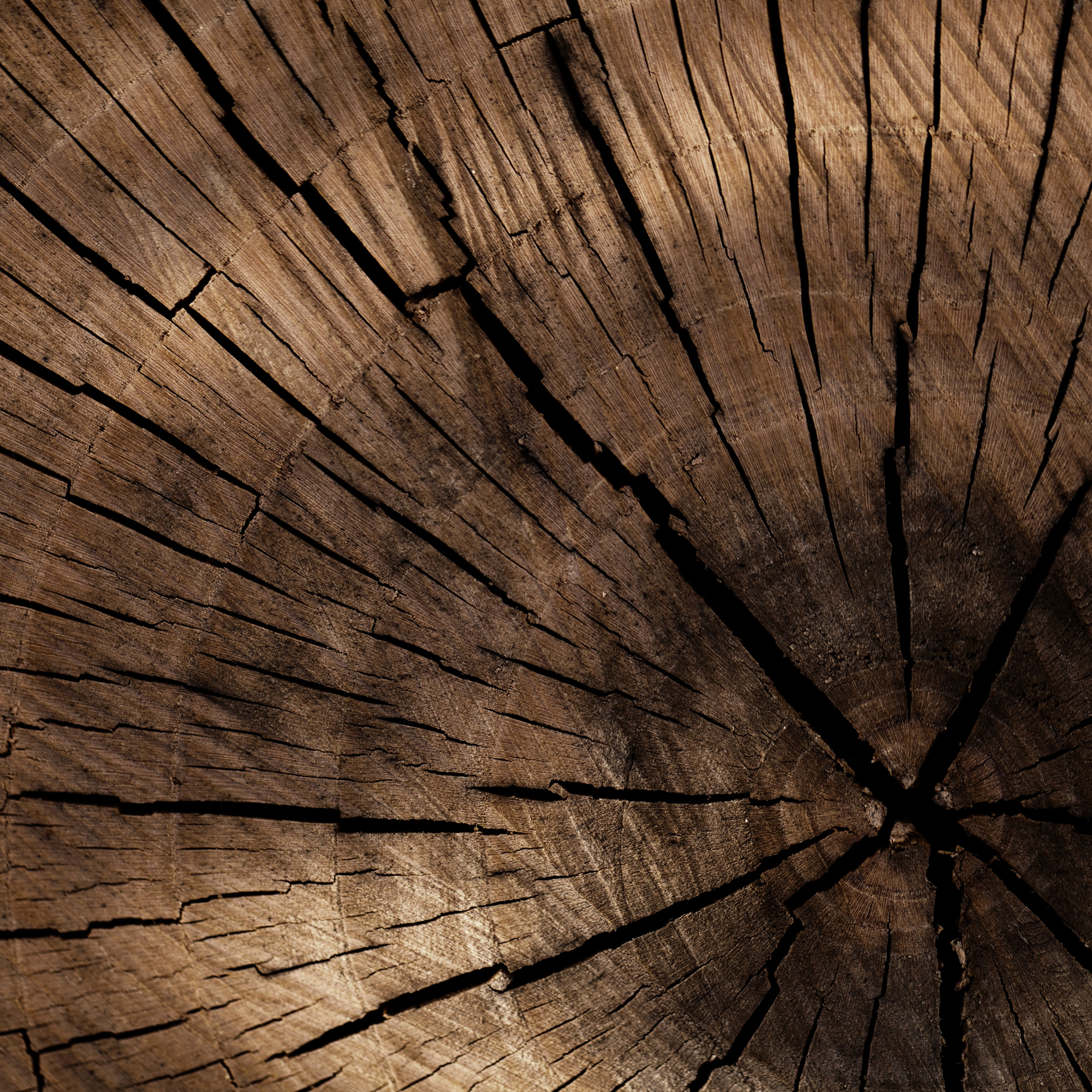 Materia | Time
