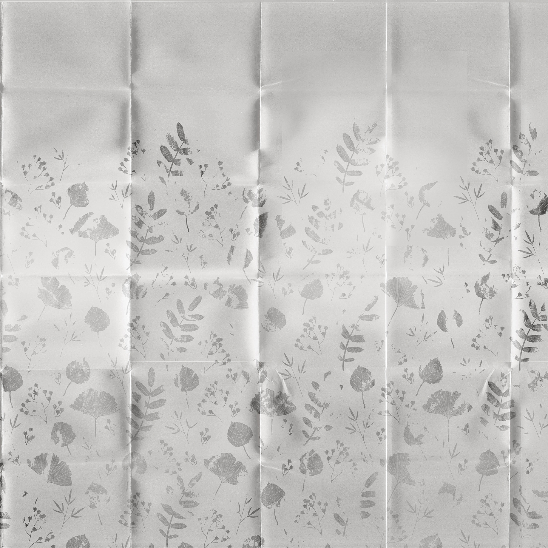 Mostrar el producto Piega | Flowers del fabricante INSTABILELAB