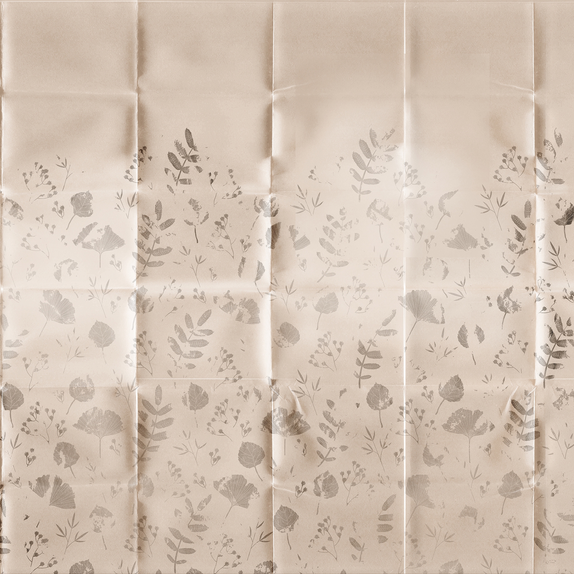 Piega | Flowers