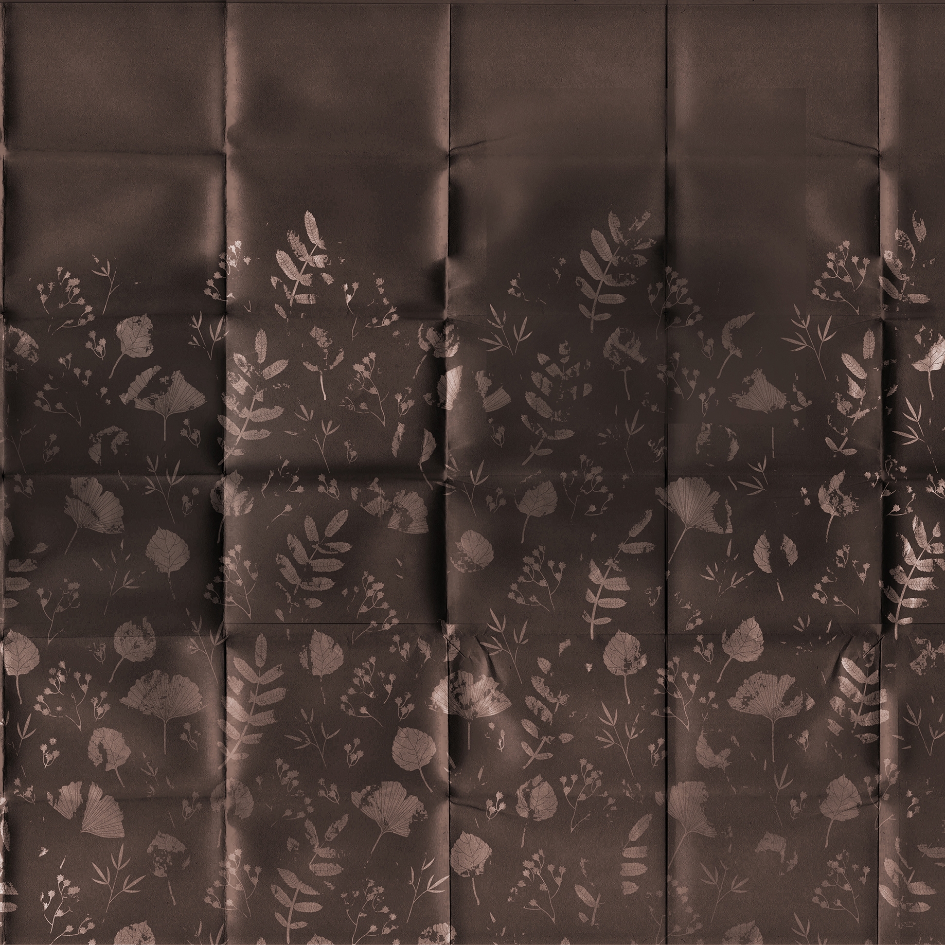 Piega | Flowers