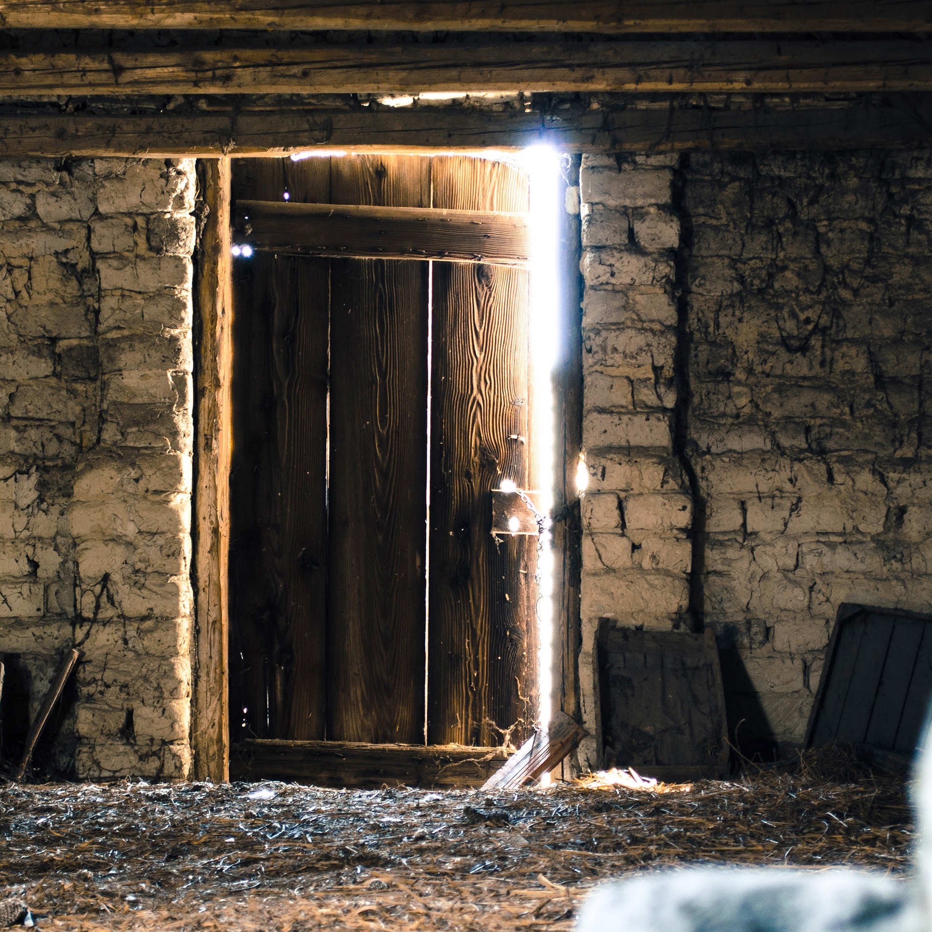 Mostra il prodotto Photo | Abby del produttore INSTABILELAB