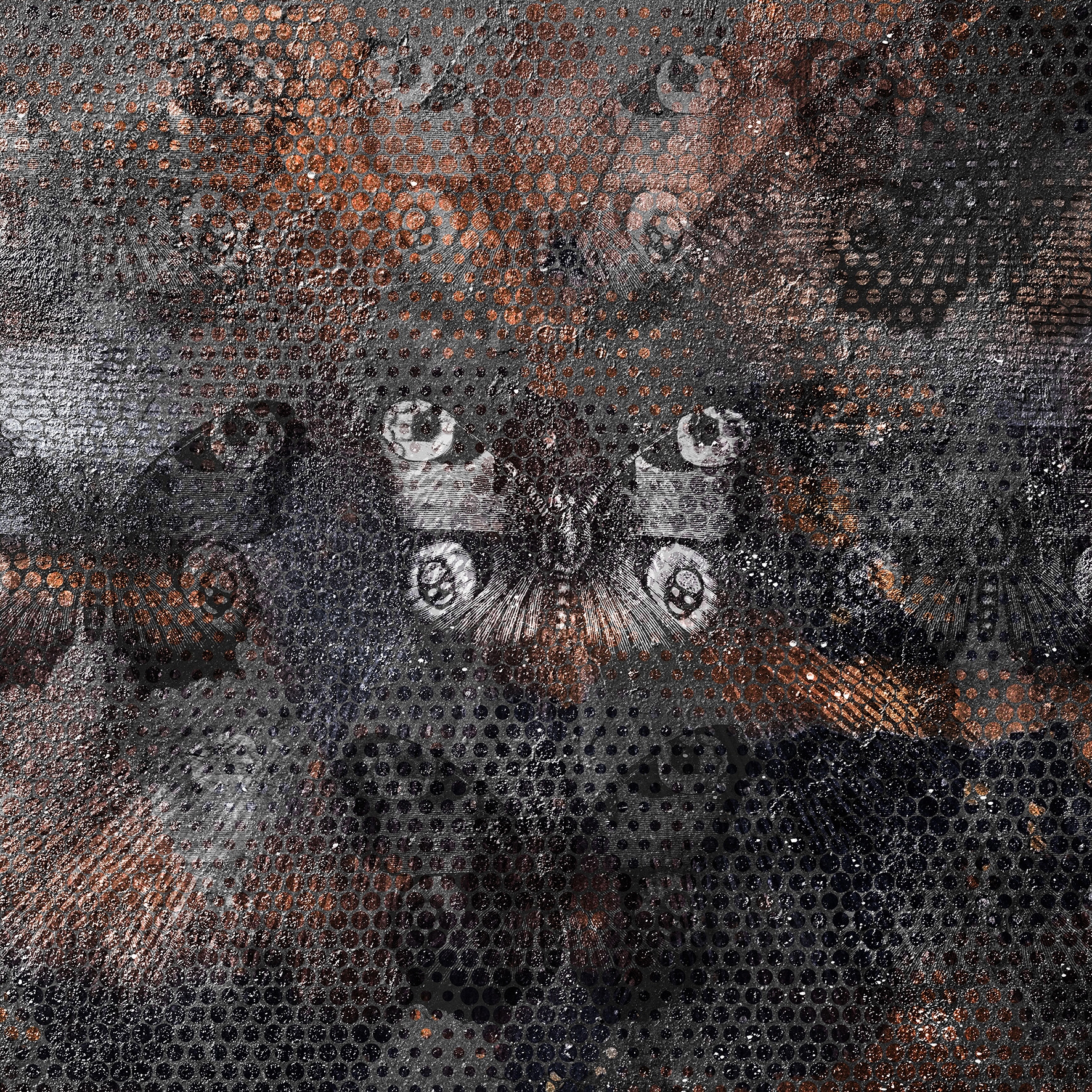 Sign | The Butterfly