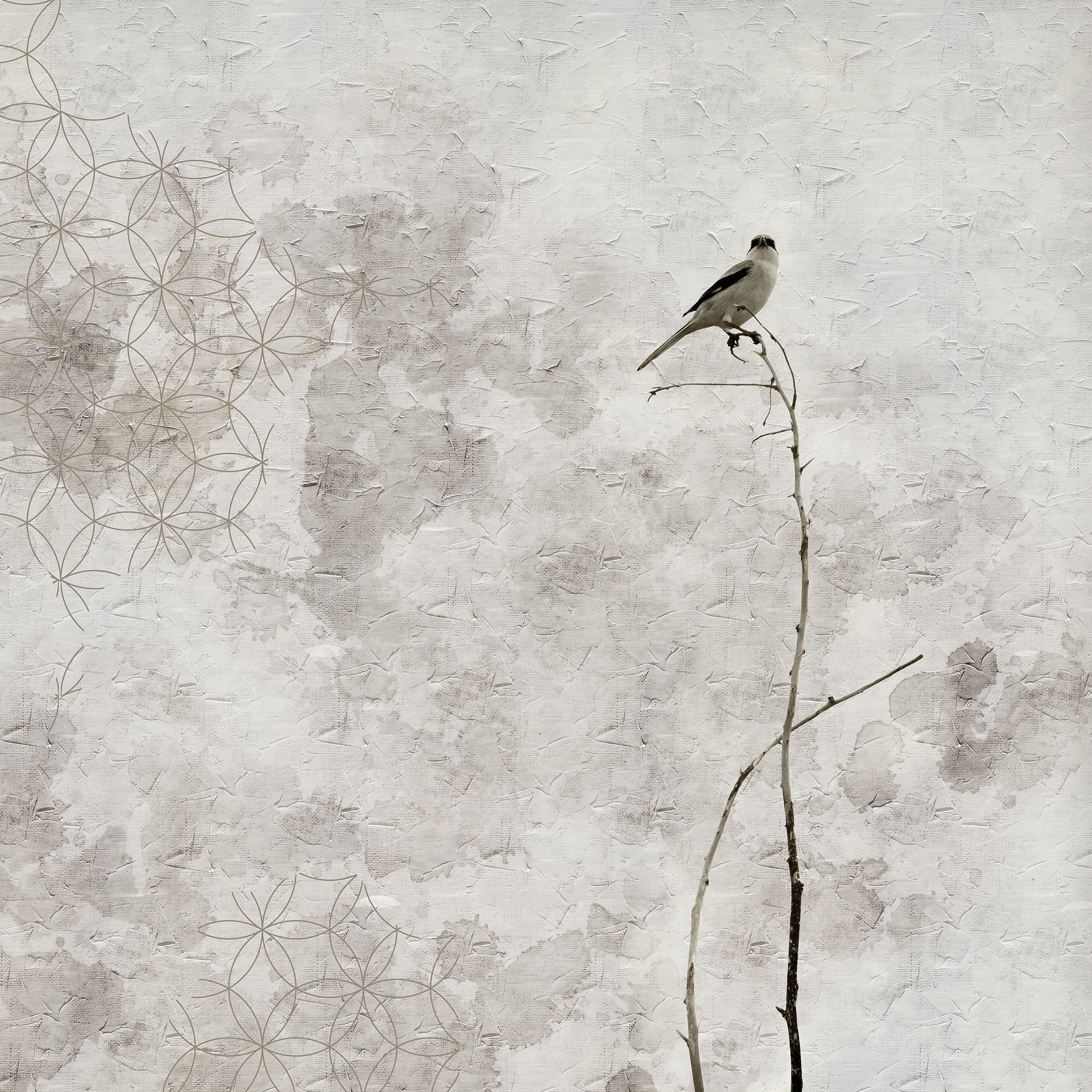 Alone 01