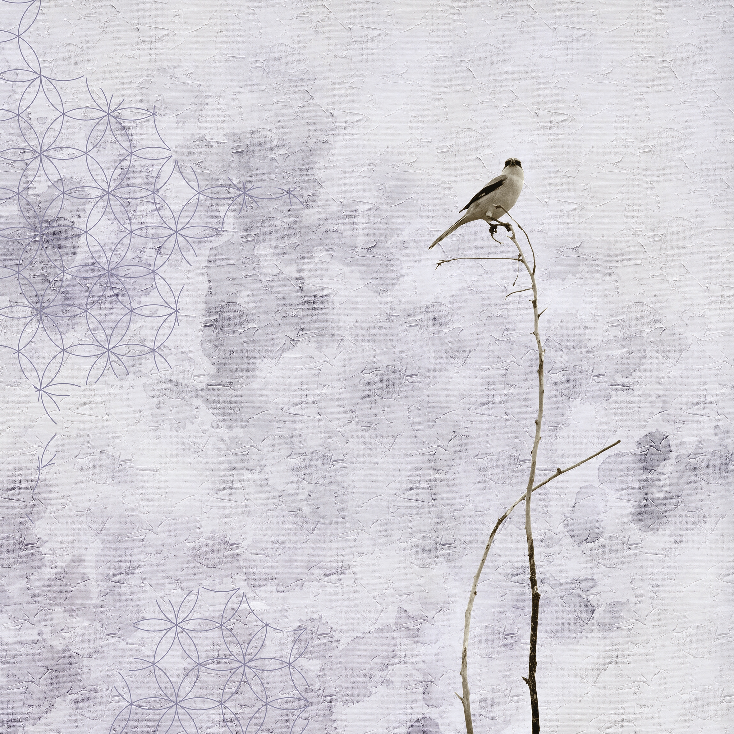 Alone 02