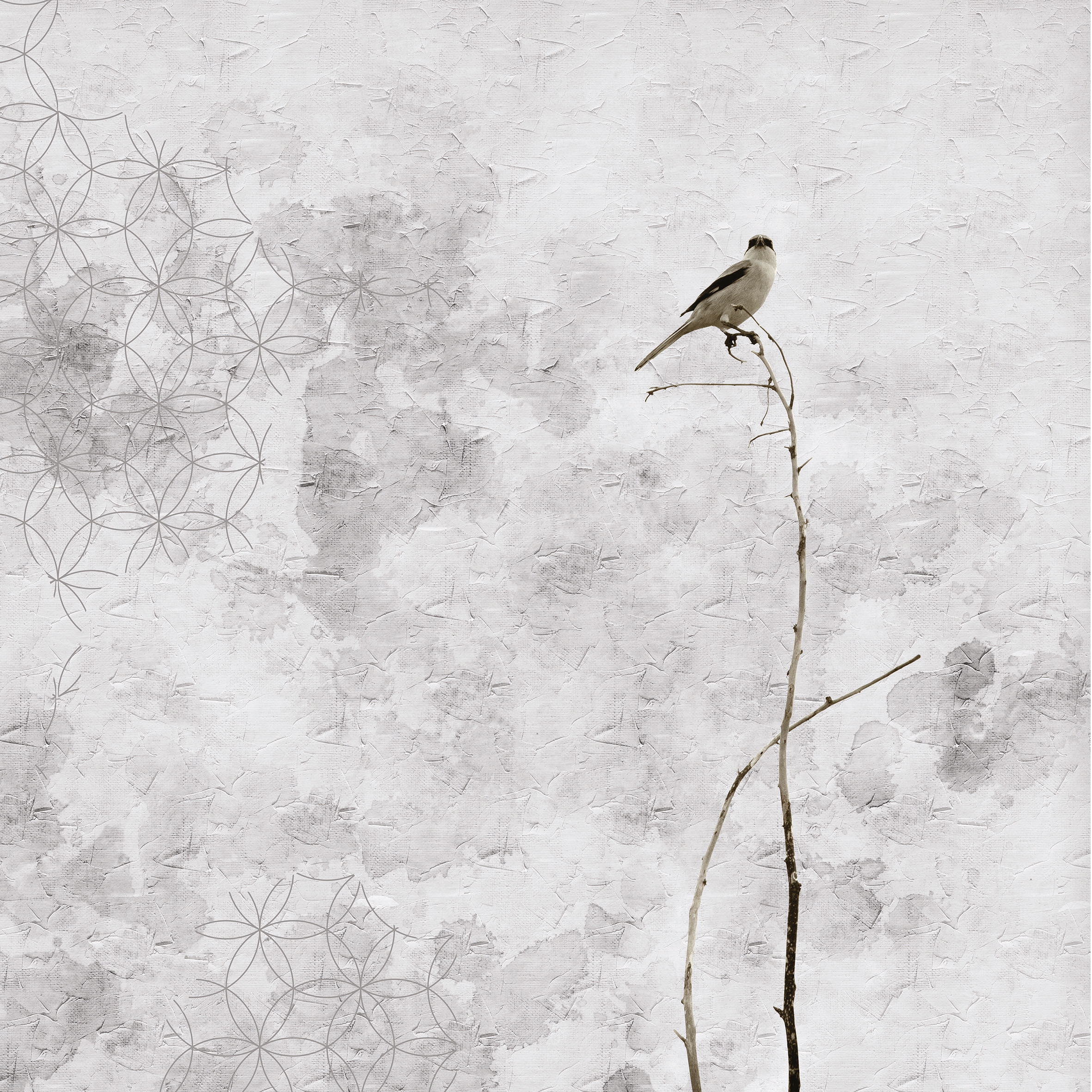 Alone 03