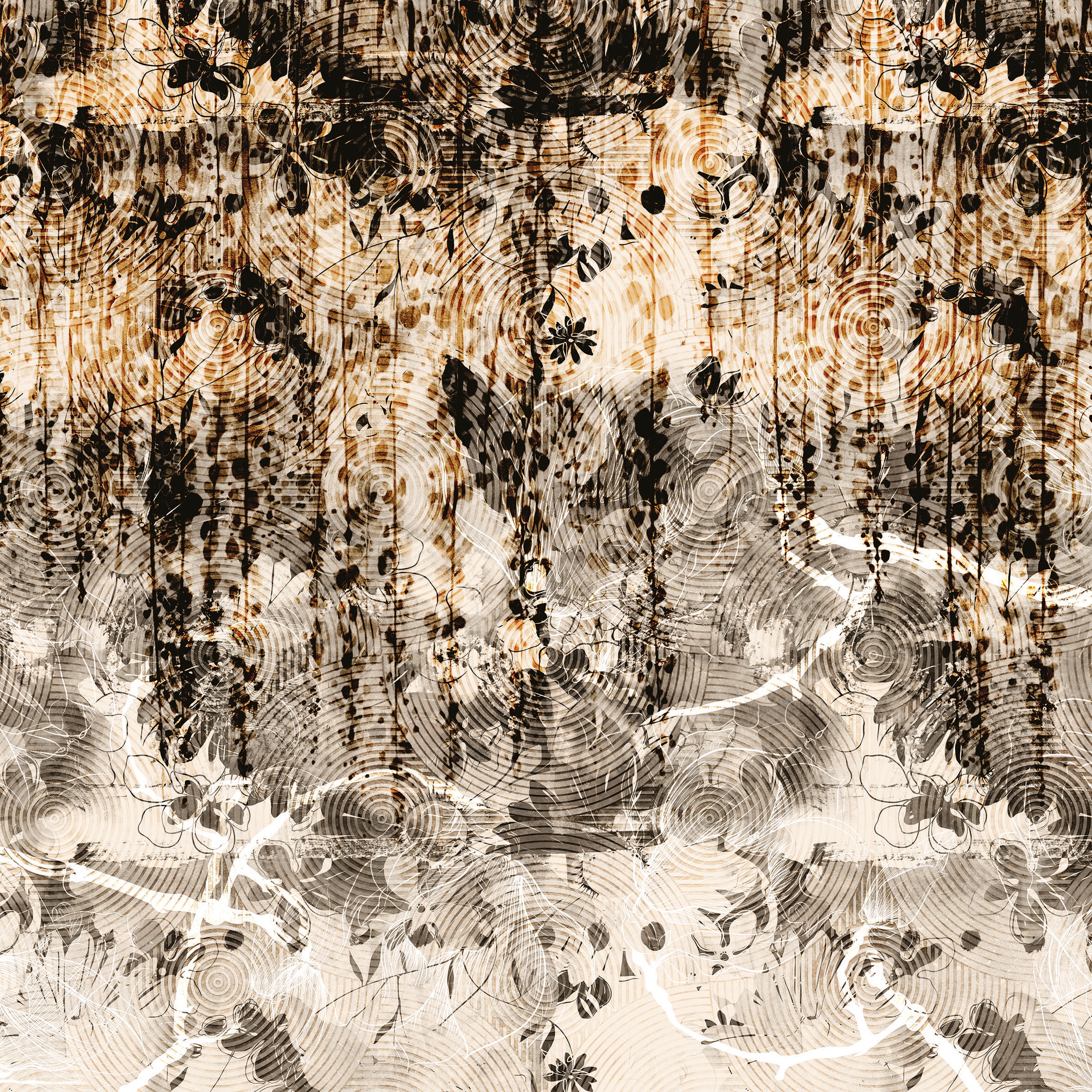 Amazonia 03