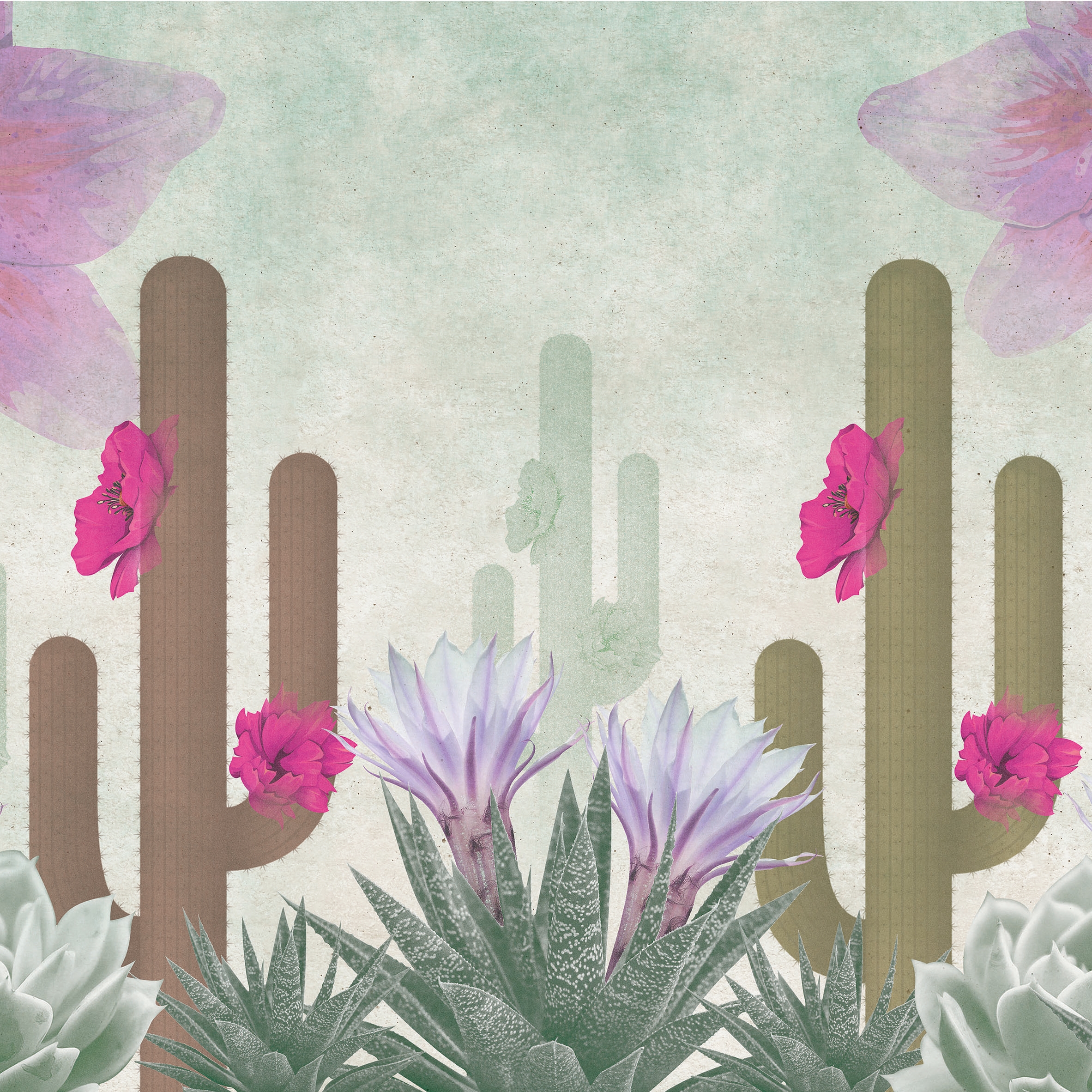 Desert In Bloom 02