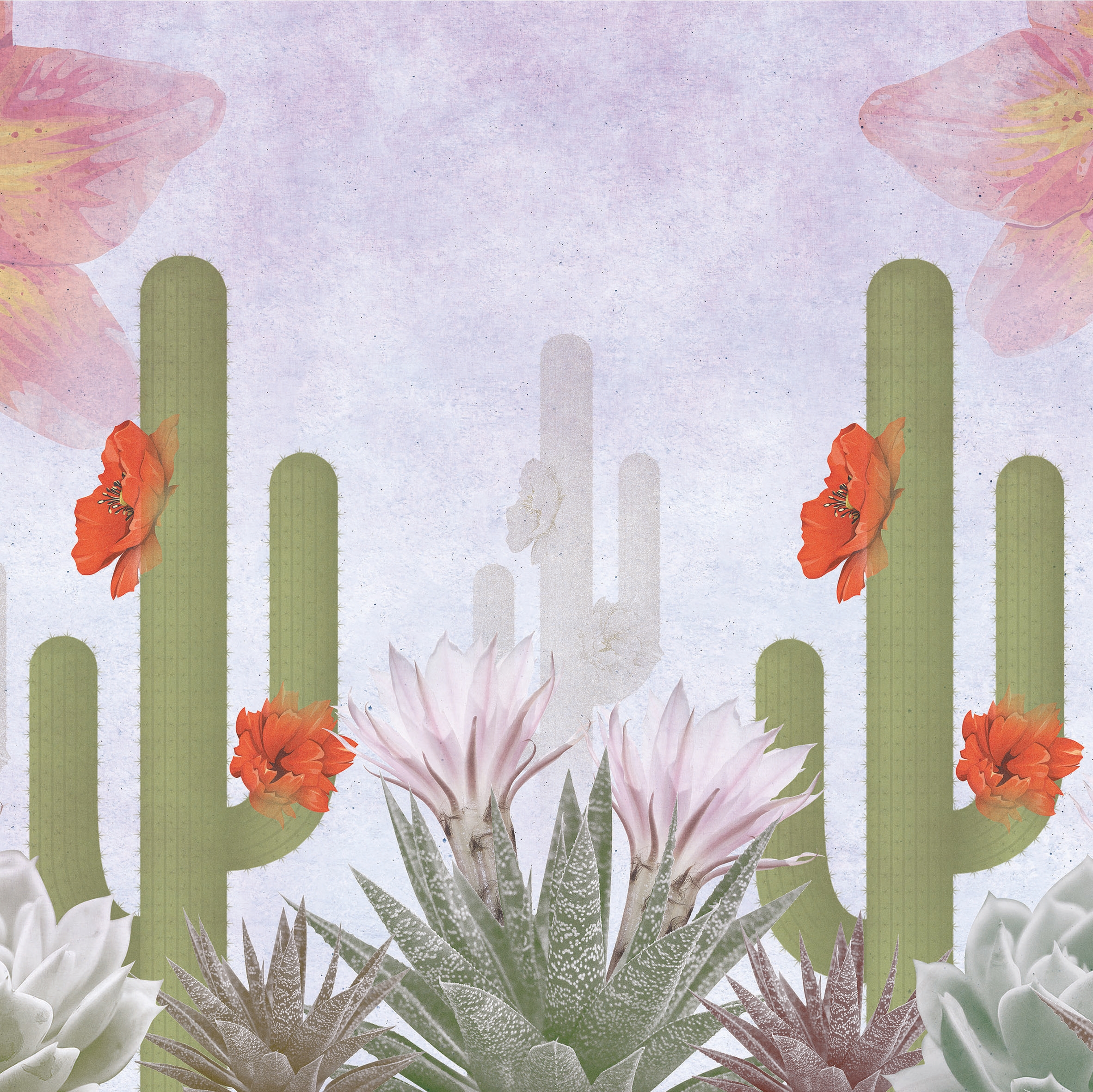 Desert In Bloom 03