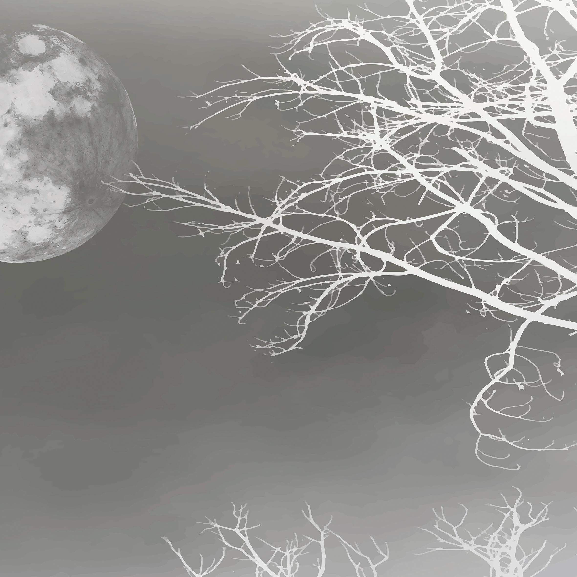 Full Moon 02