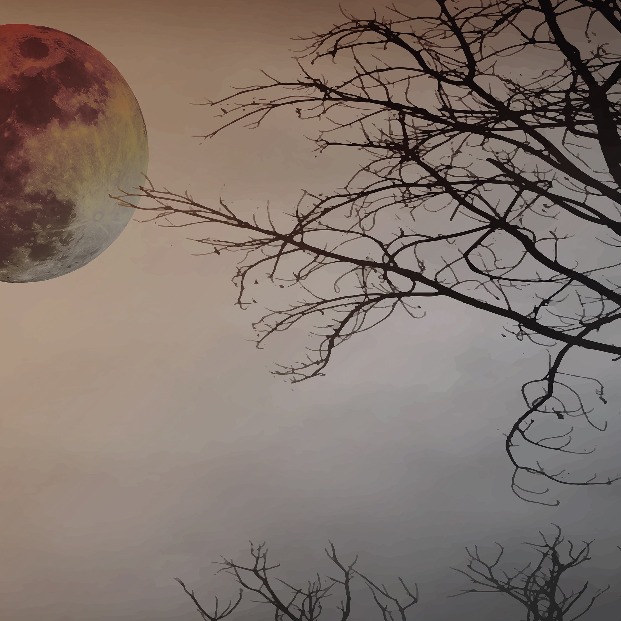 Full Moon 03