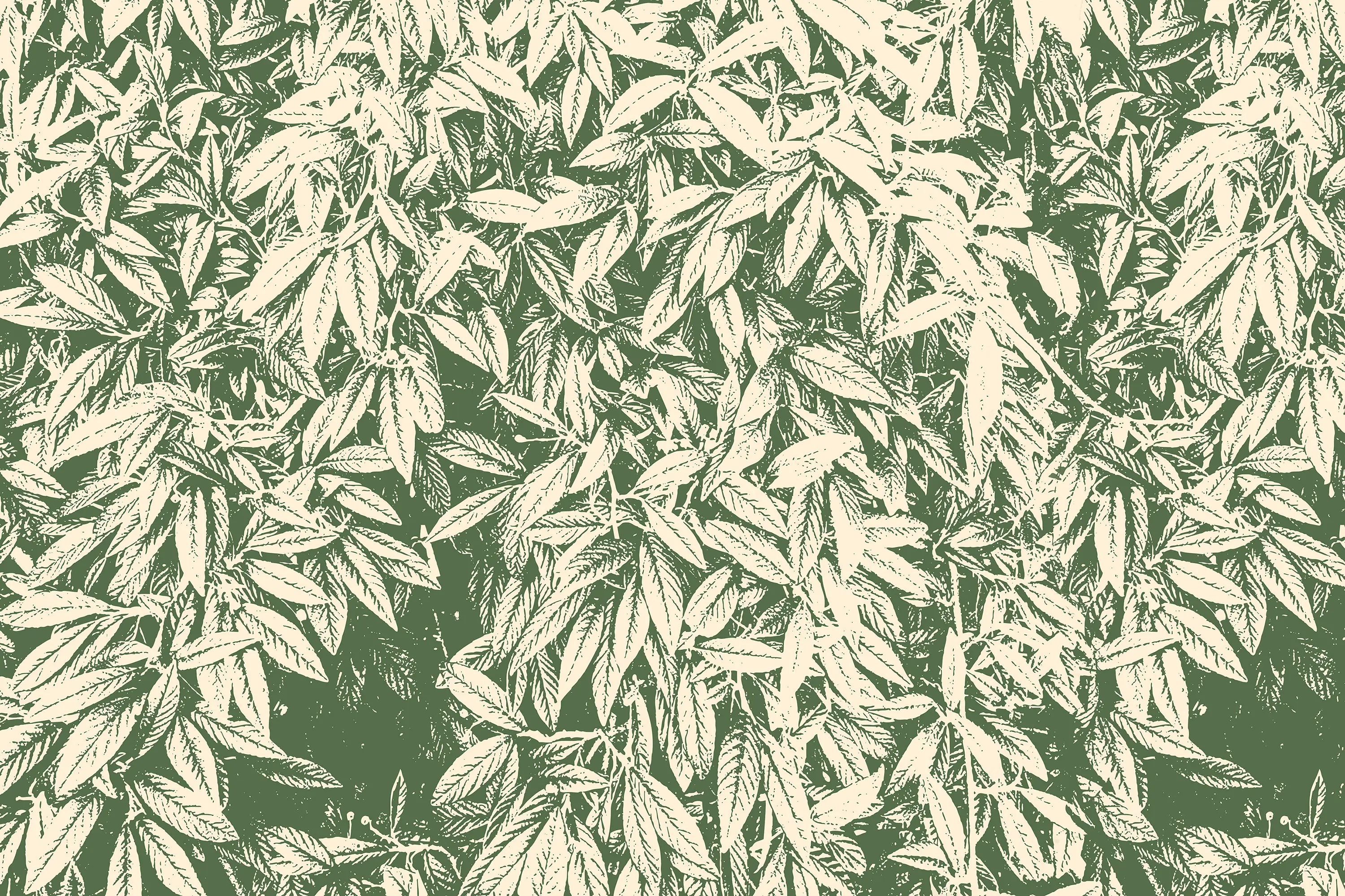 INSTABILELAB - Madline 01