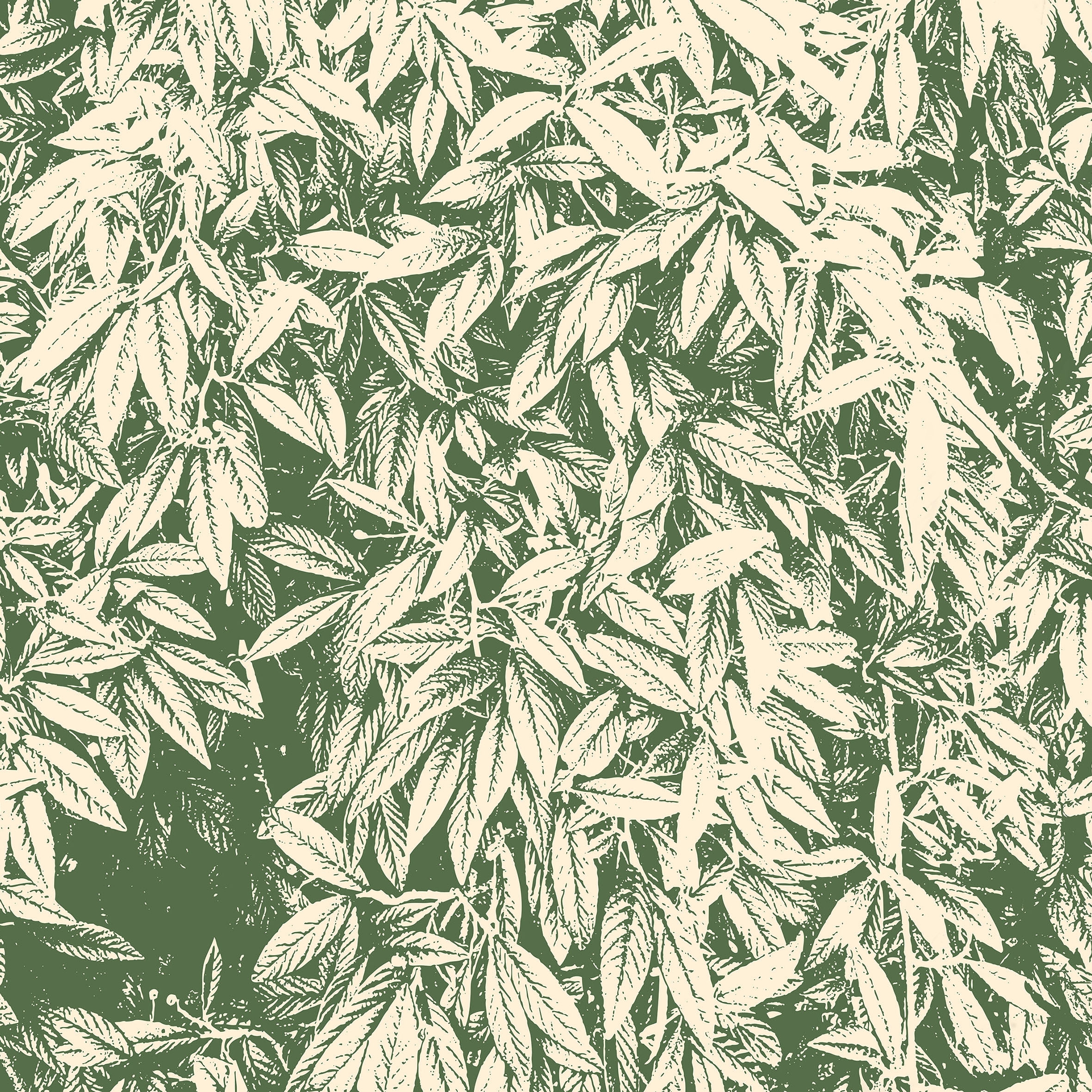 Madline 01