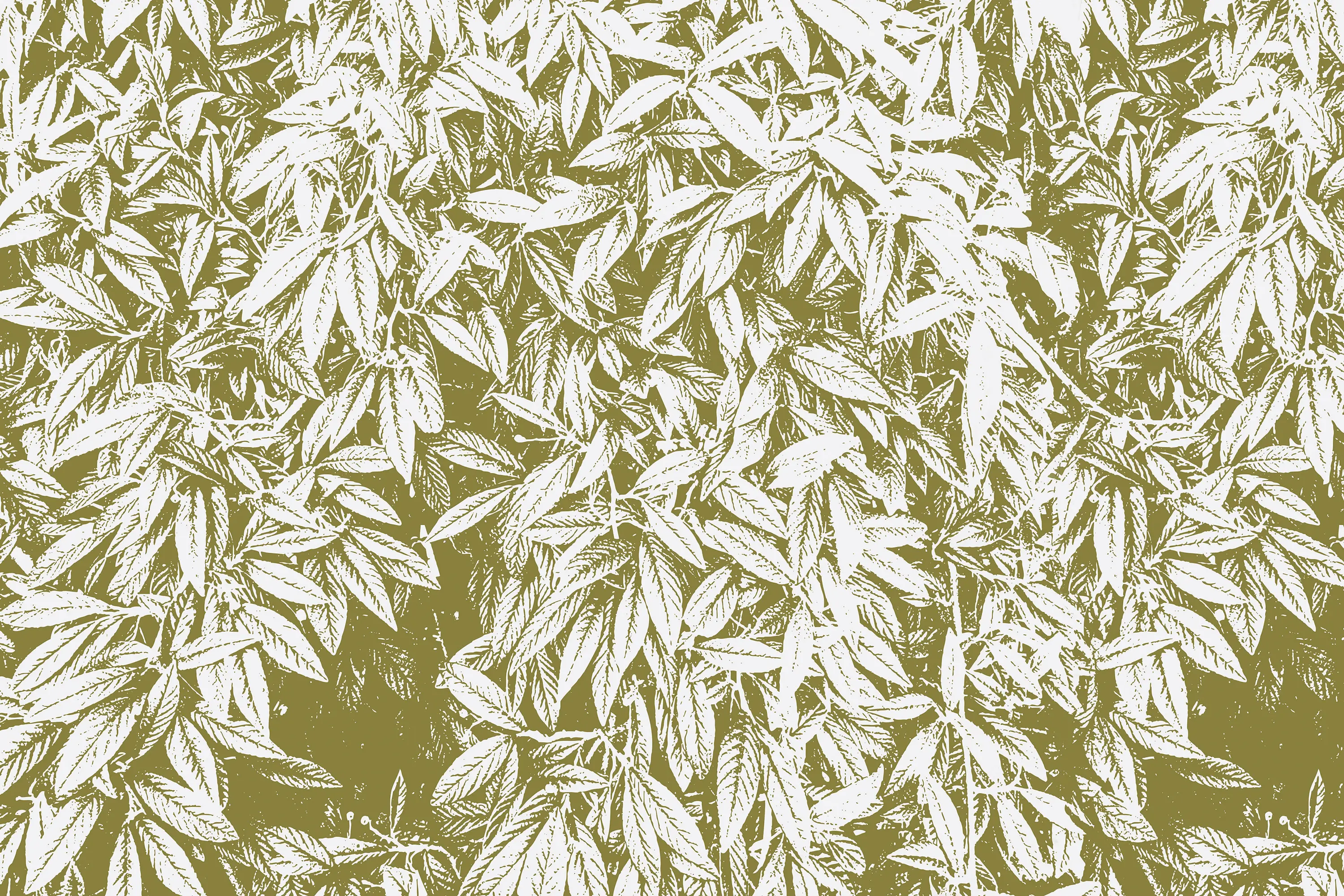 INSTABILELAB - Madline 02