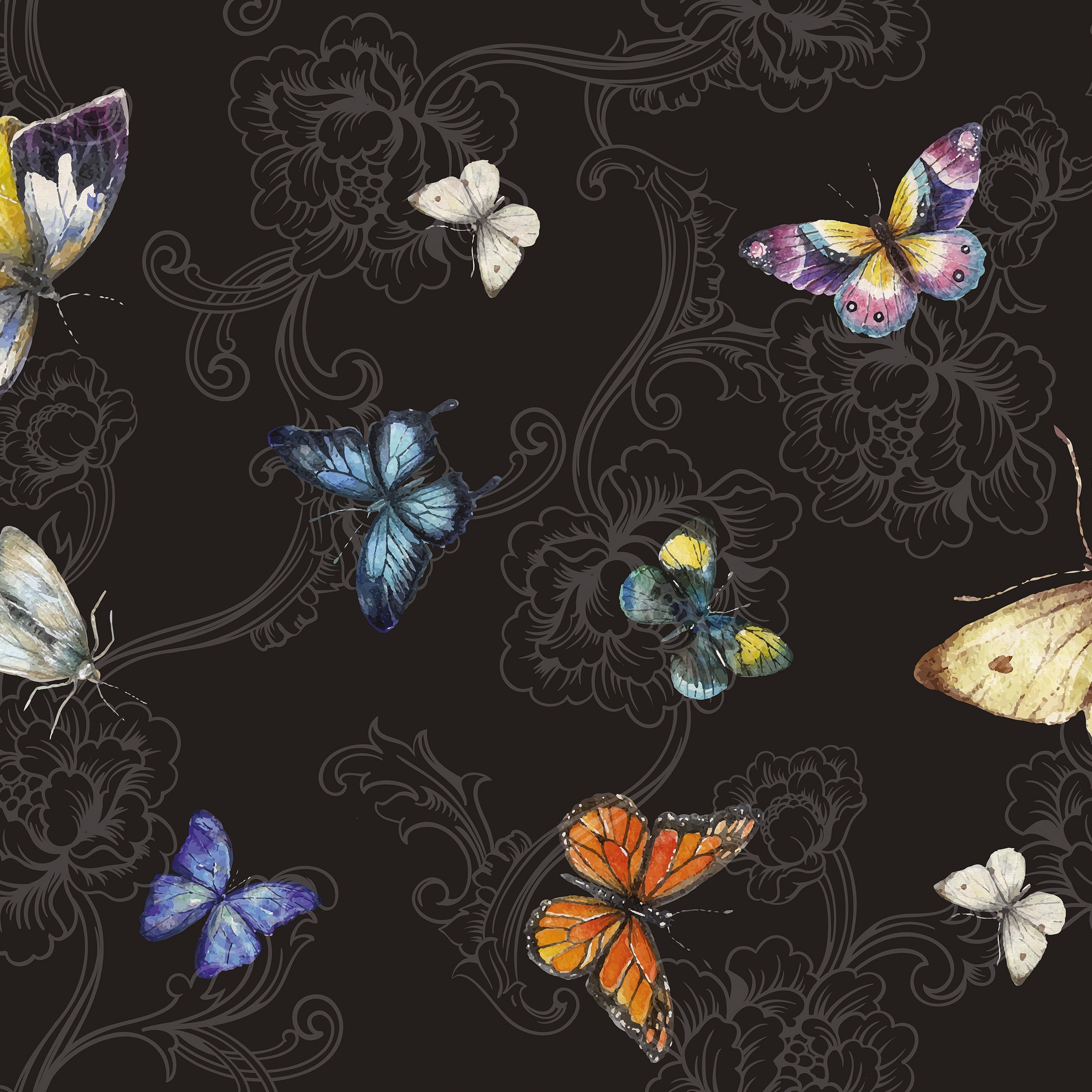 Mariposas 03