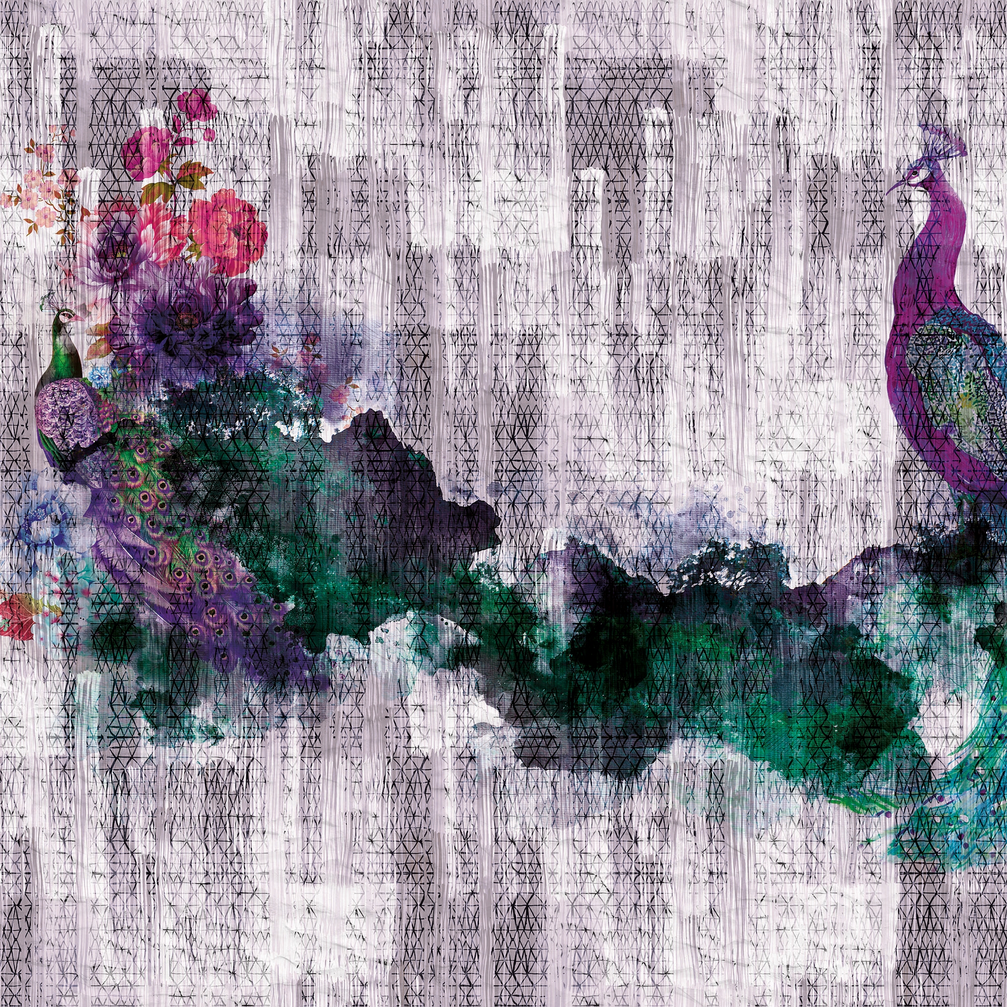 Peacock 02
