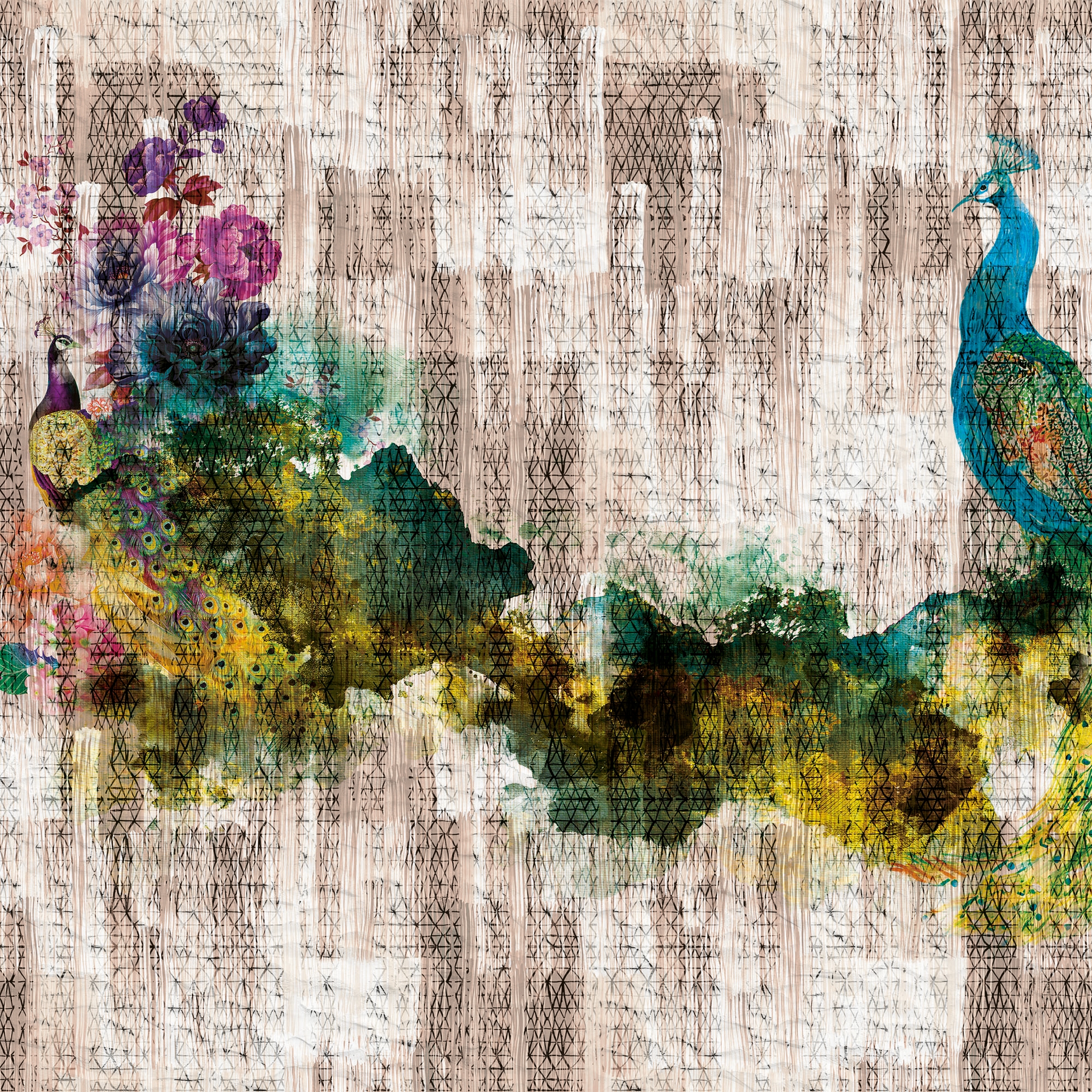 Peacock 03