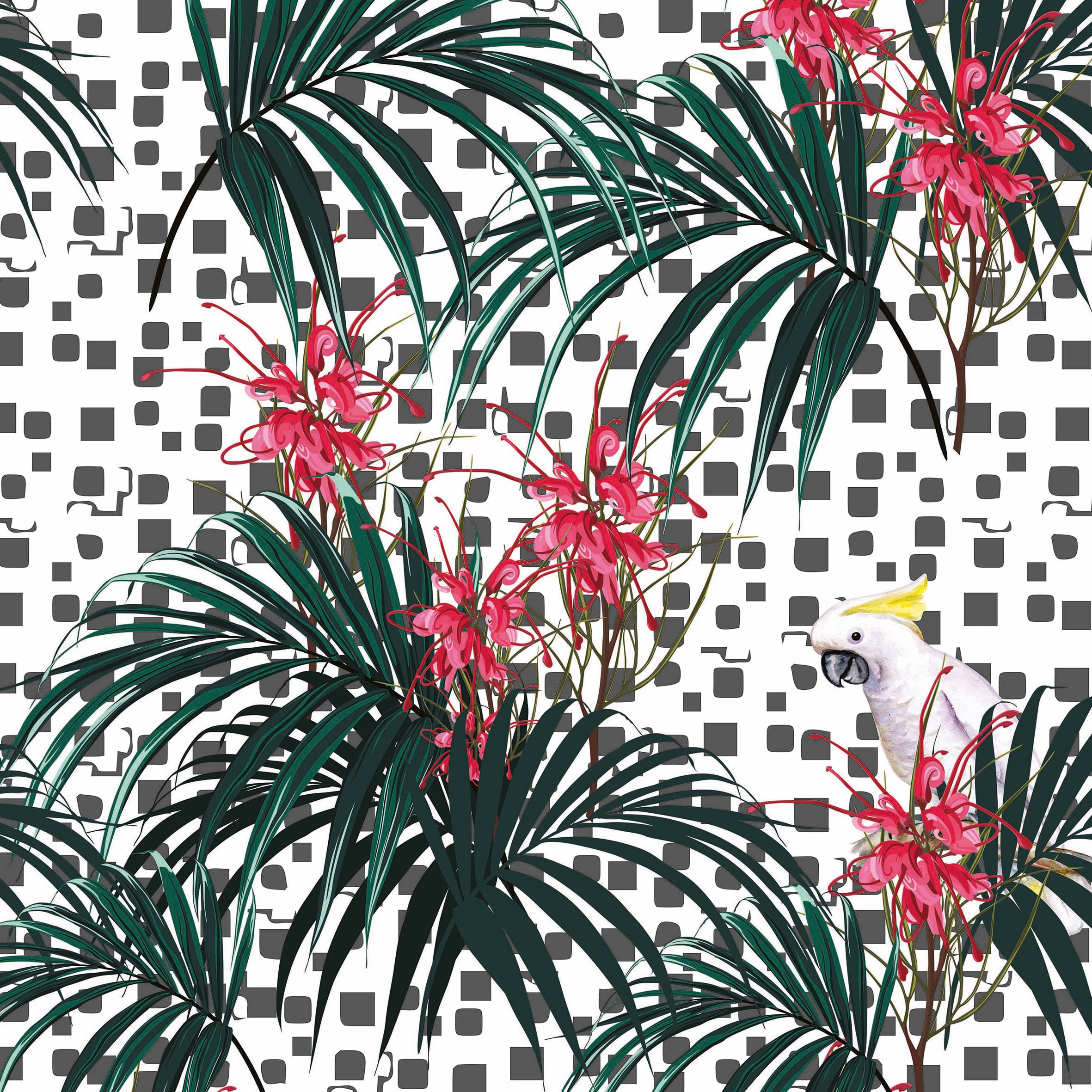 Perroquet 01