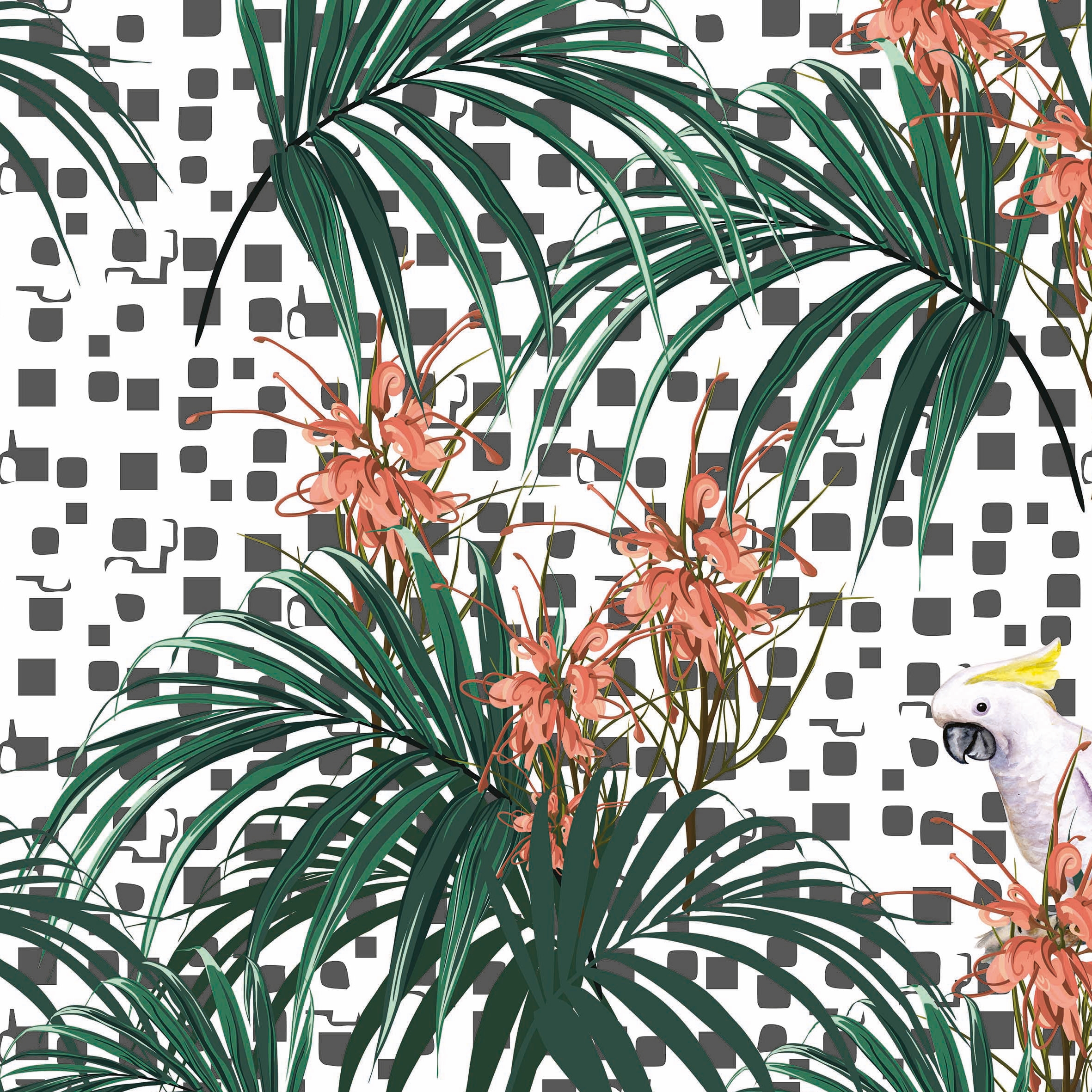 Perroquet 02
