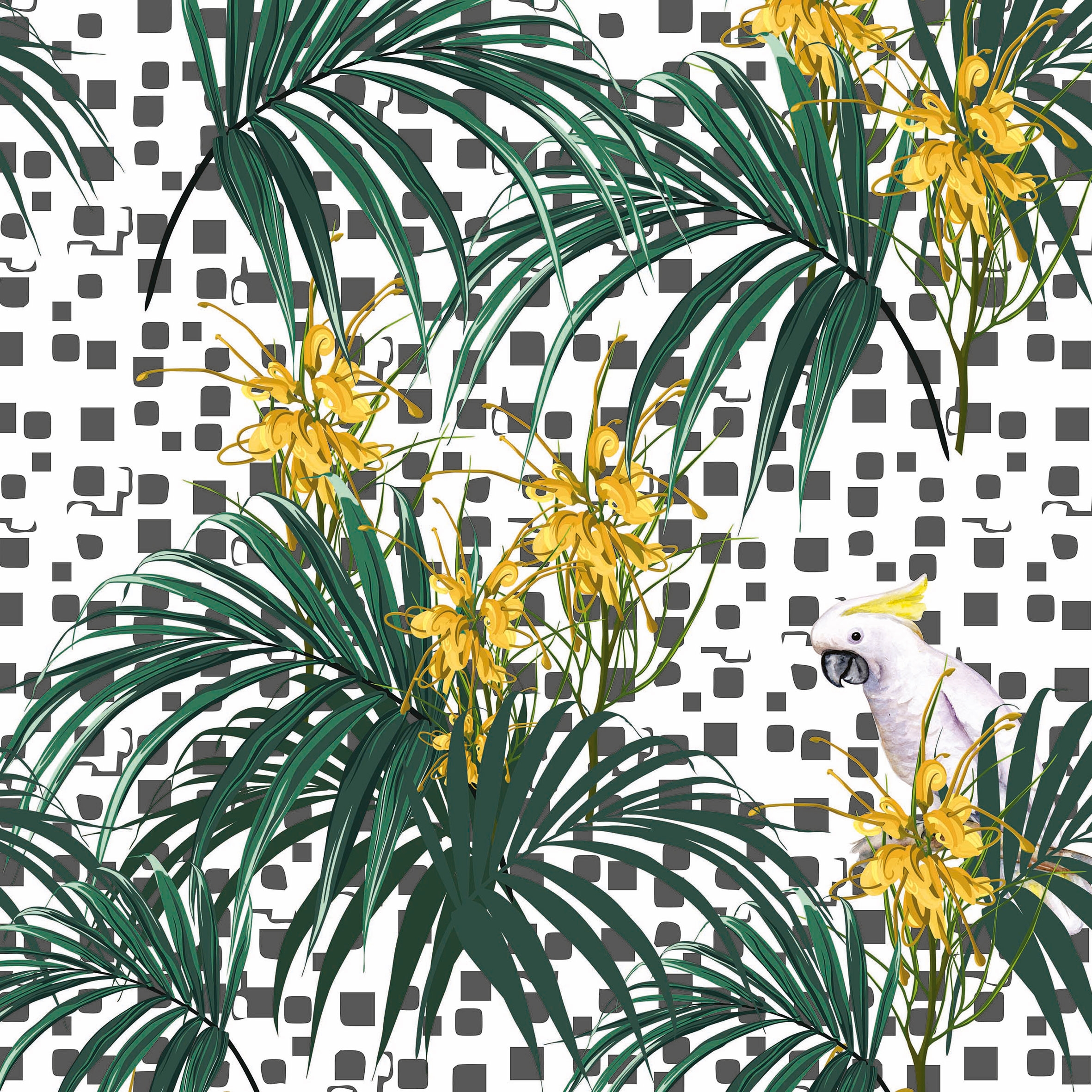 Perroquet 03