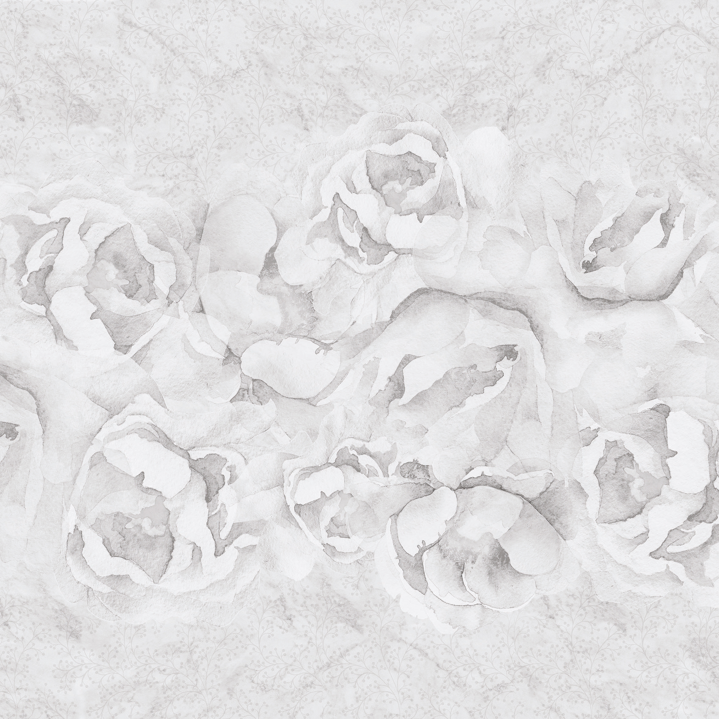 Rose & Rose 03