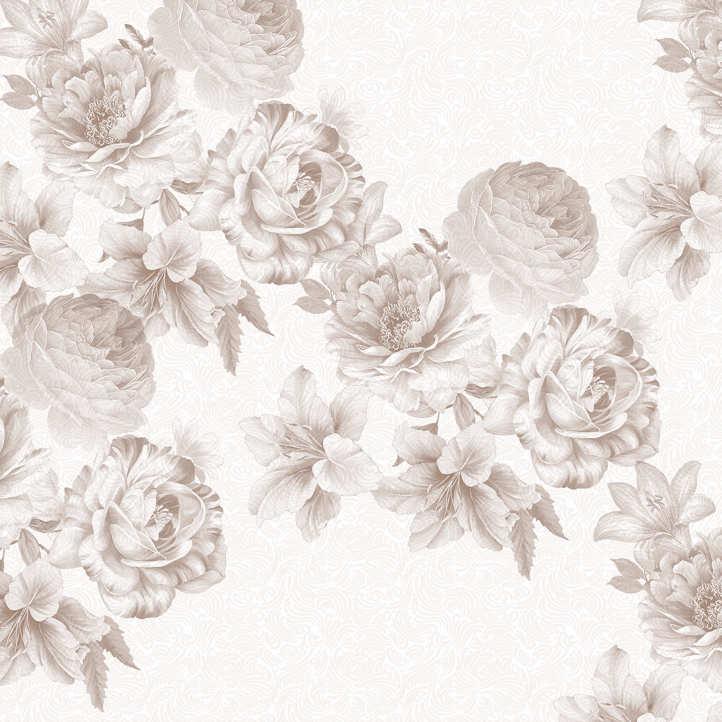 Rose Bianche 02