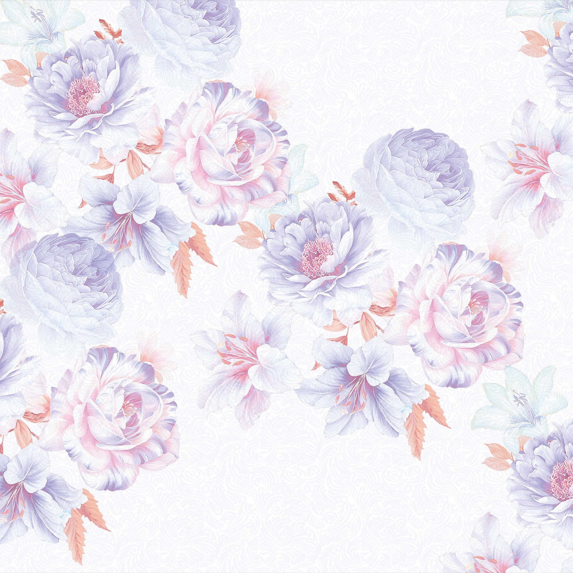 Rose Bianche 03
