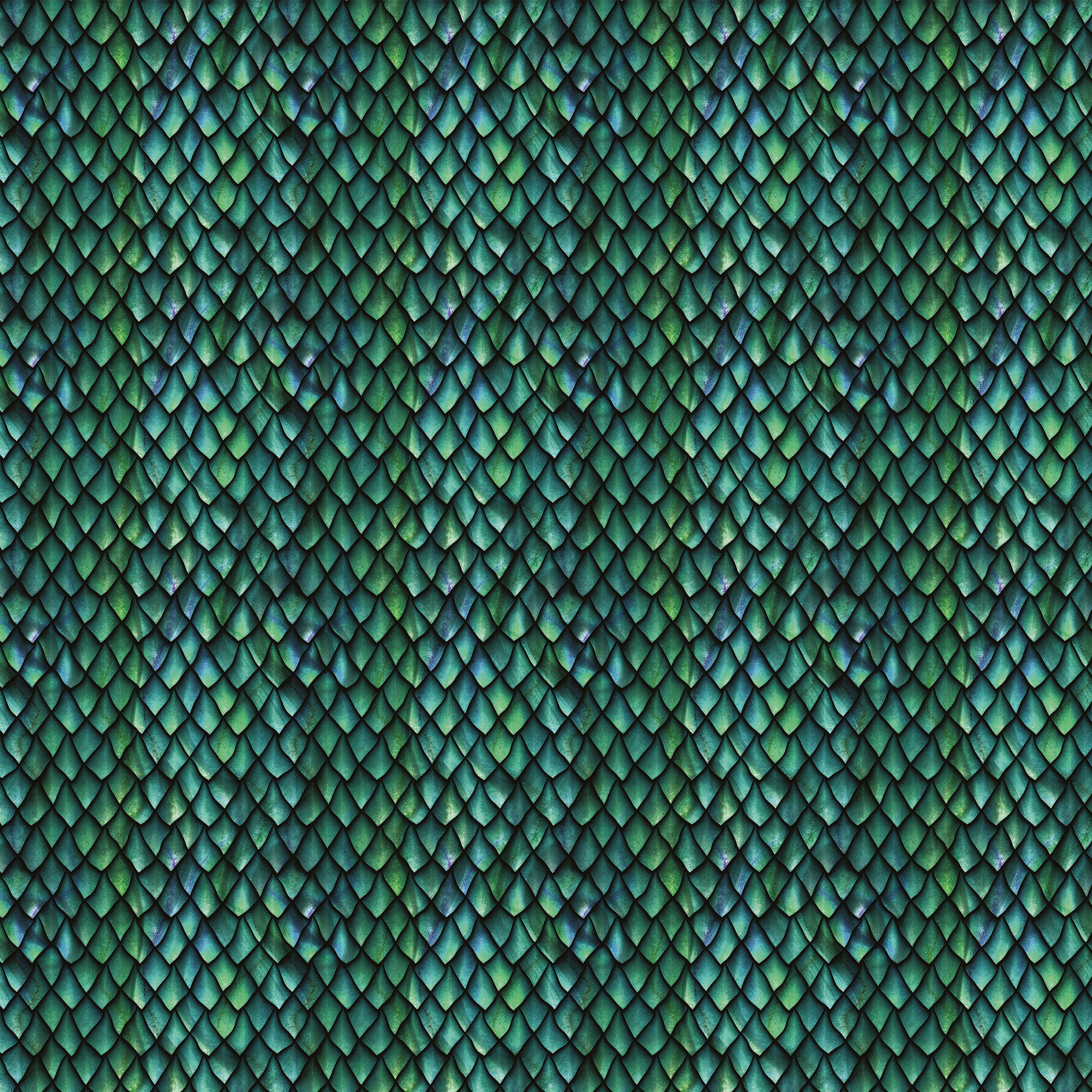 Snake 02