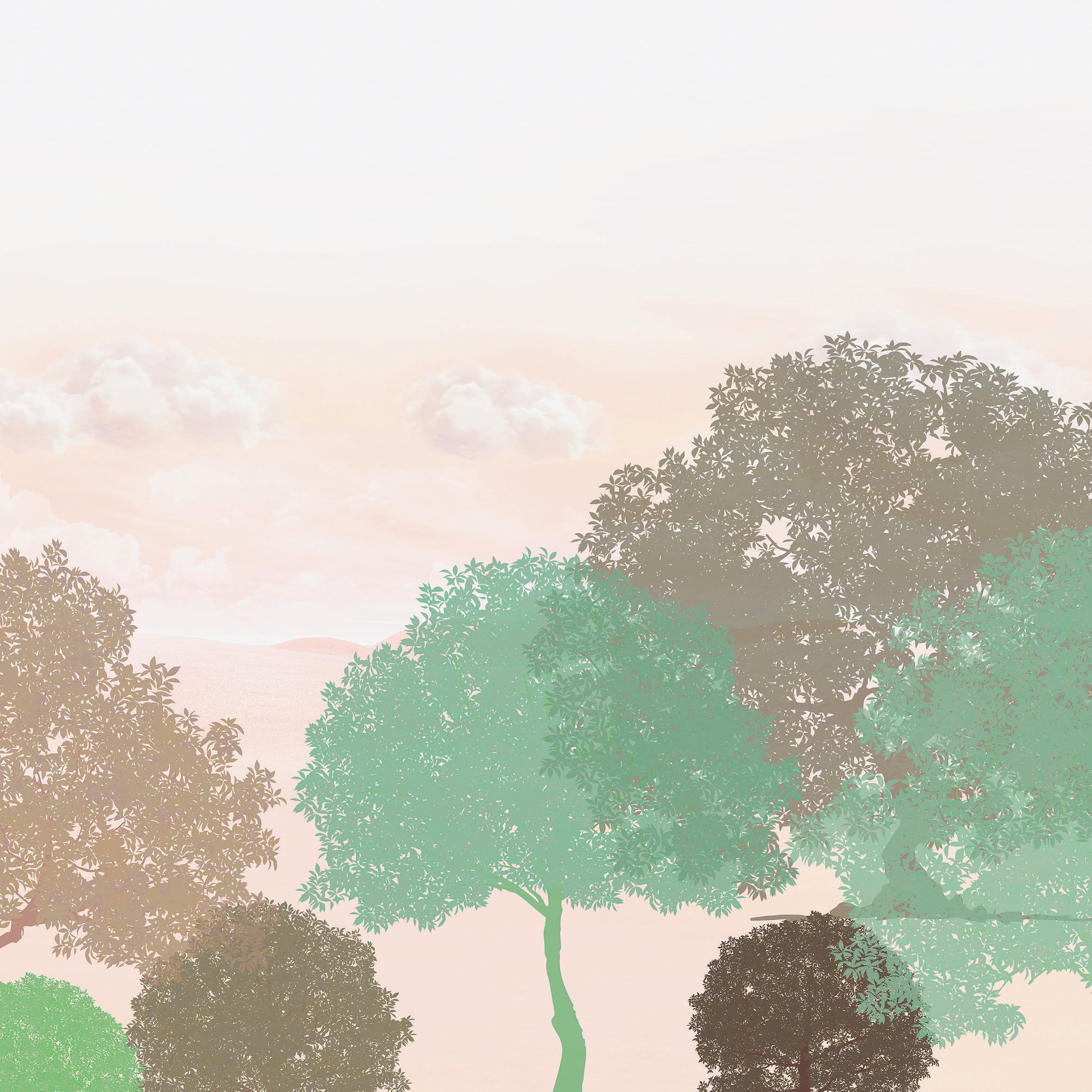 Stanton Moor 03