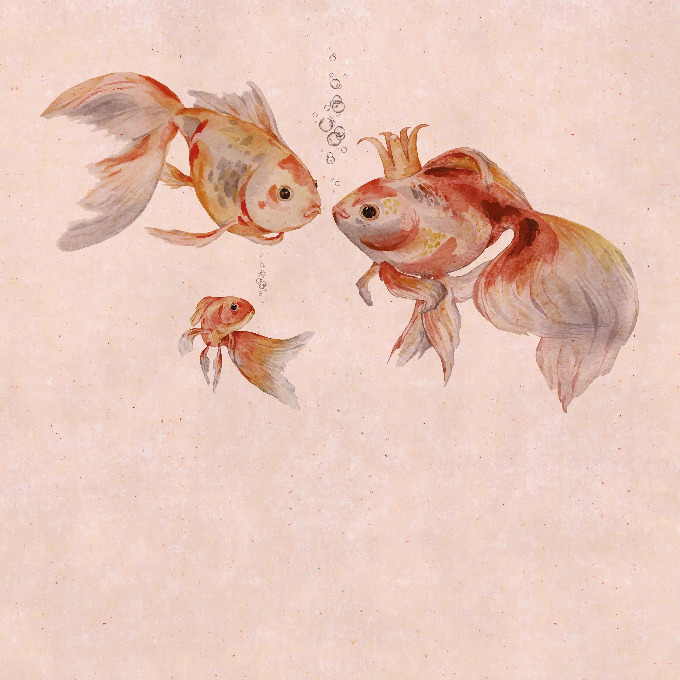 Under The Sea 03