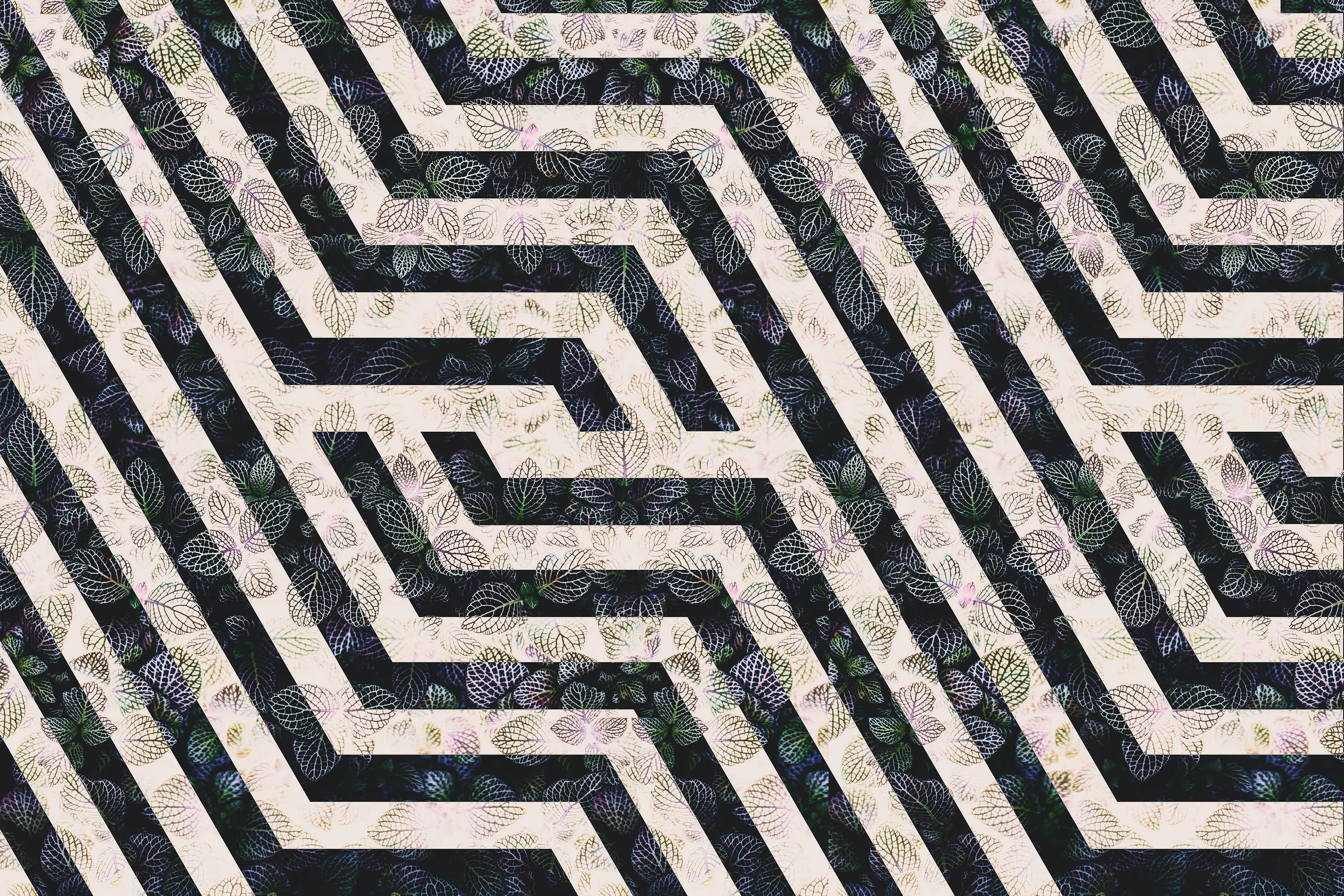 INSTABILELAB - Vitolo 01