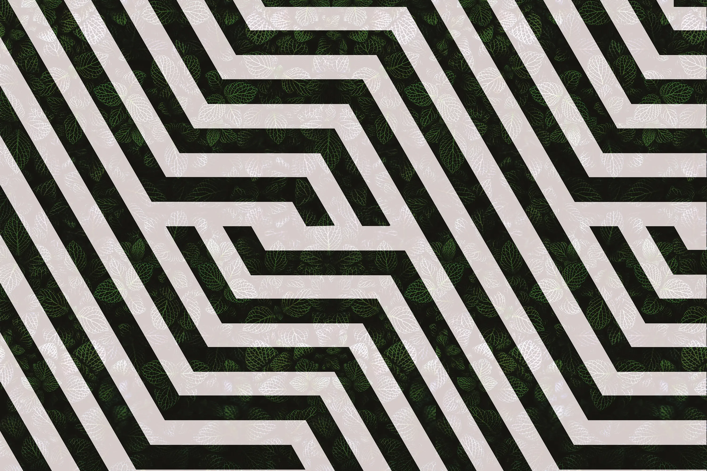 INSTABILELAB - Vitolo 02