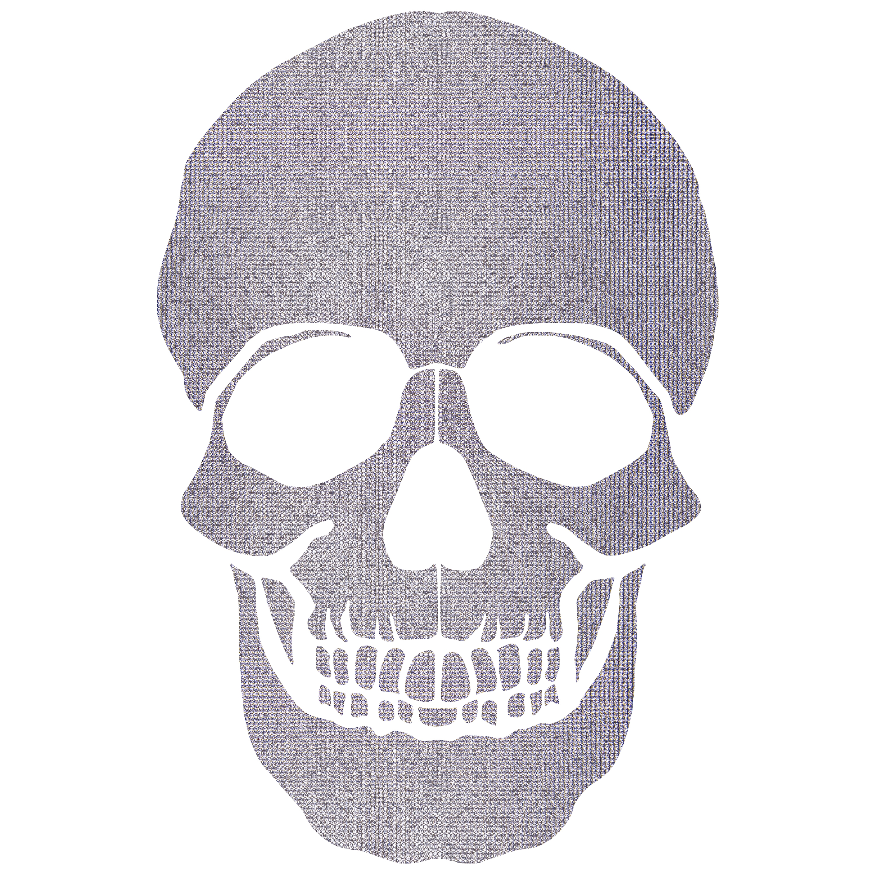 Mostra il prodotto The Skull | The Skull Crystal Mesh del produttore INSTABILELAB