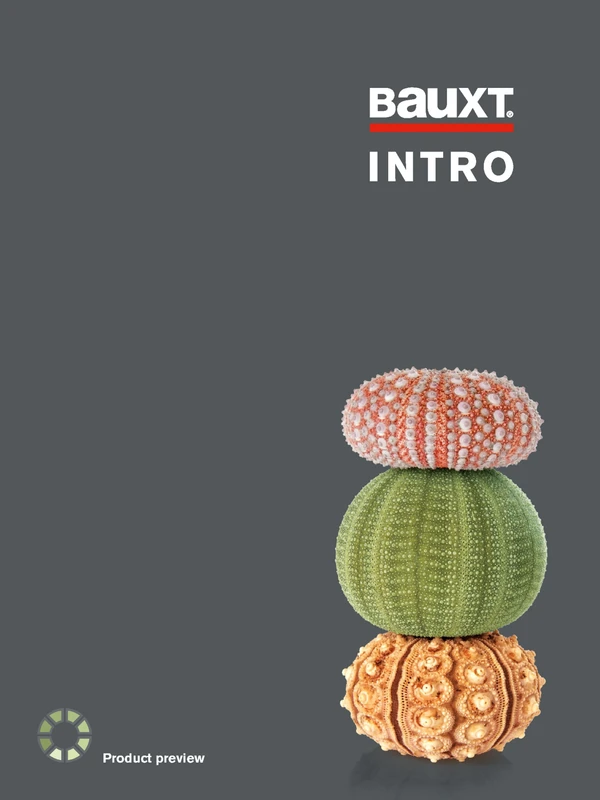 Preview image for the file Intro 2018