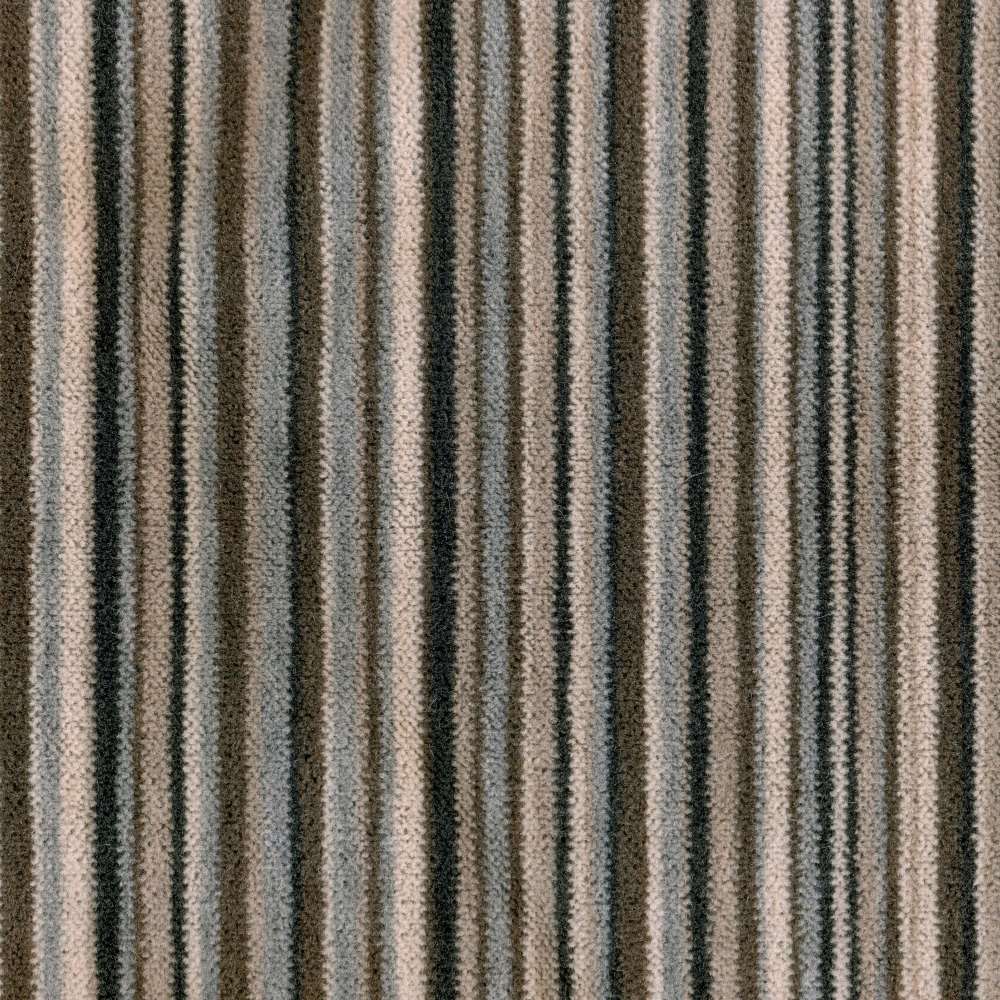 Alpaca | Colour Stripes