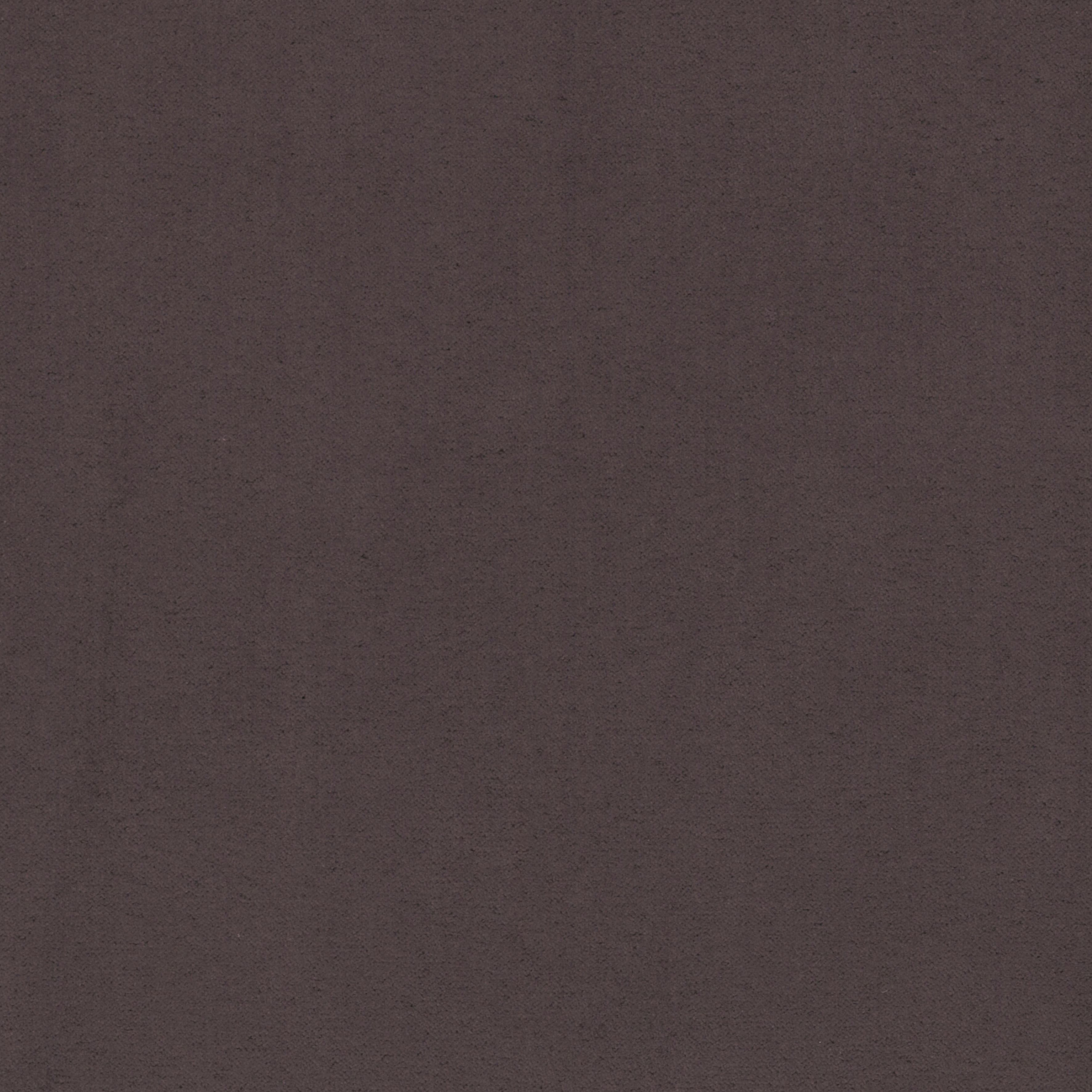Arsen | Colour Eggplant 02