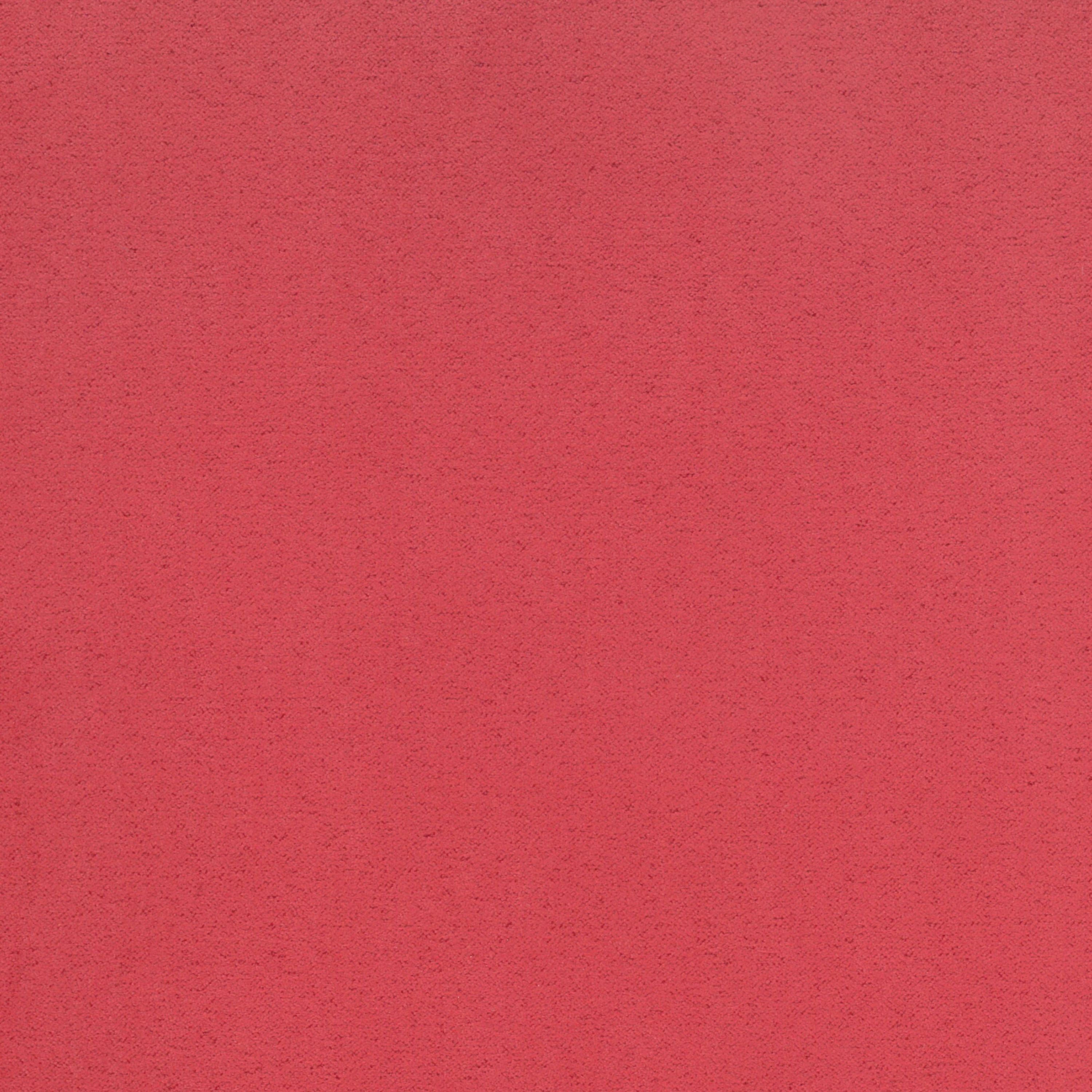 Arsen | Colour Coral 32