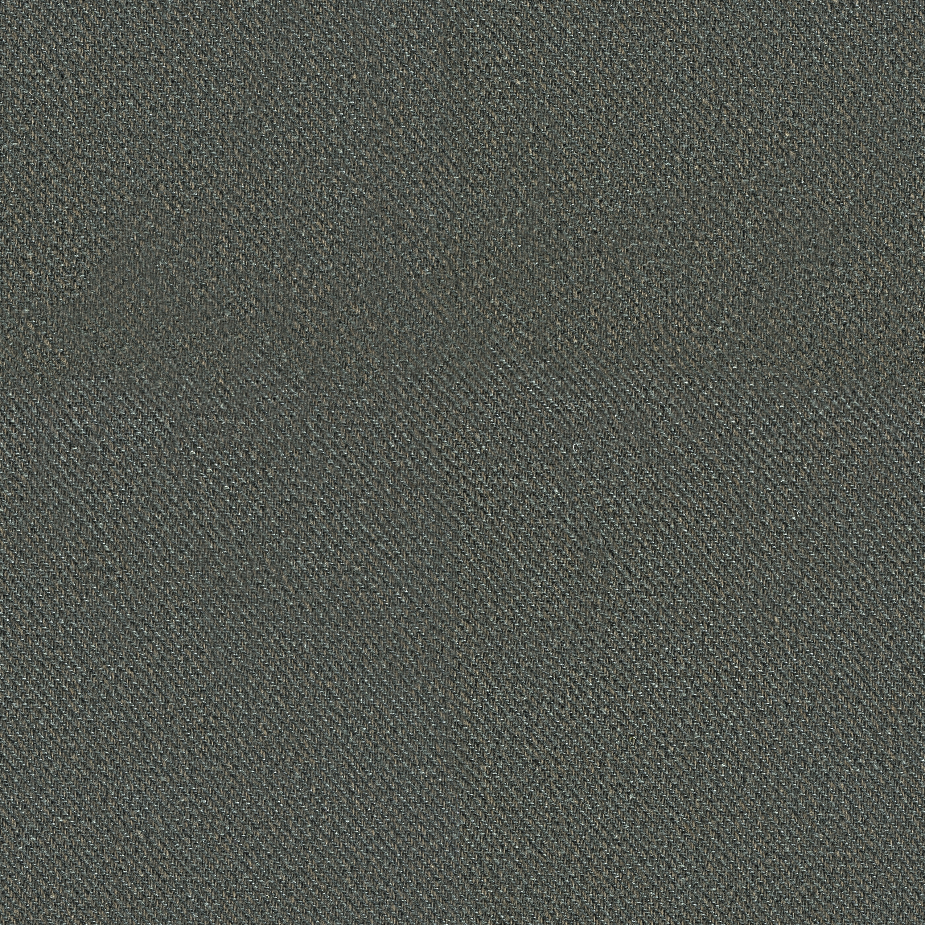 Croton | Colour Chrome 49
