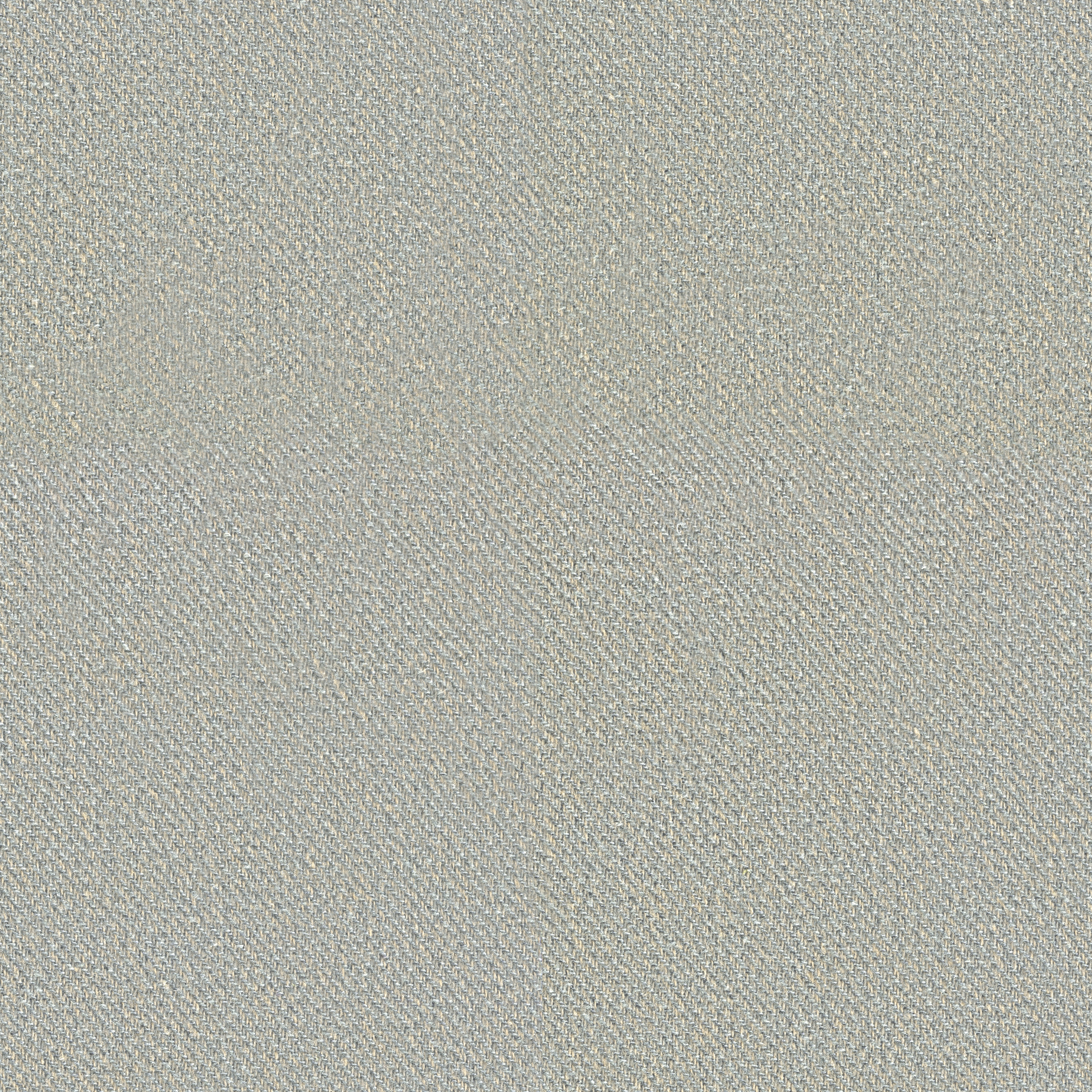 Croton | Colour Cloud 02