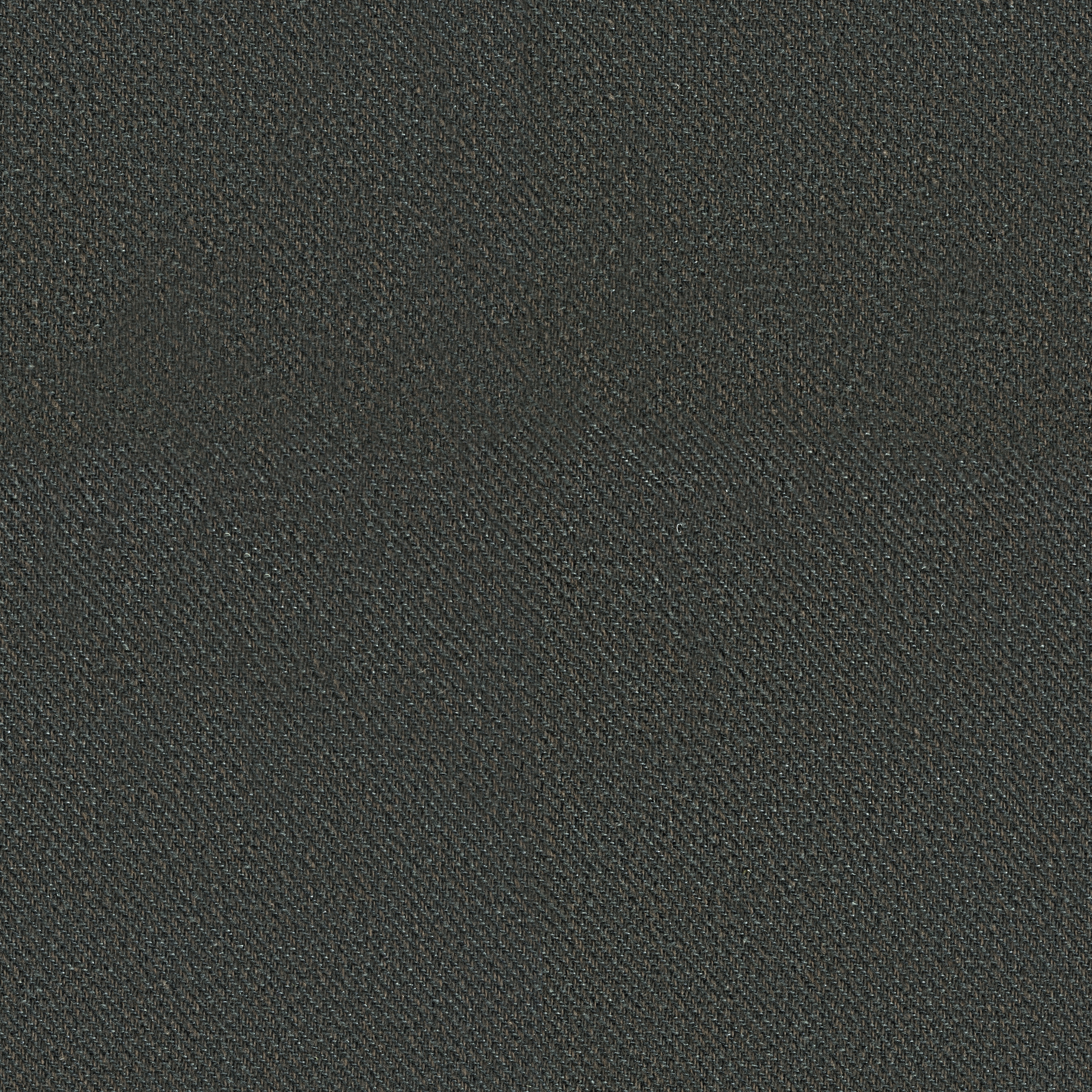 Croton | Colour Pewter 51