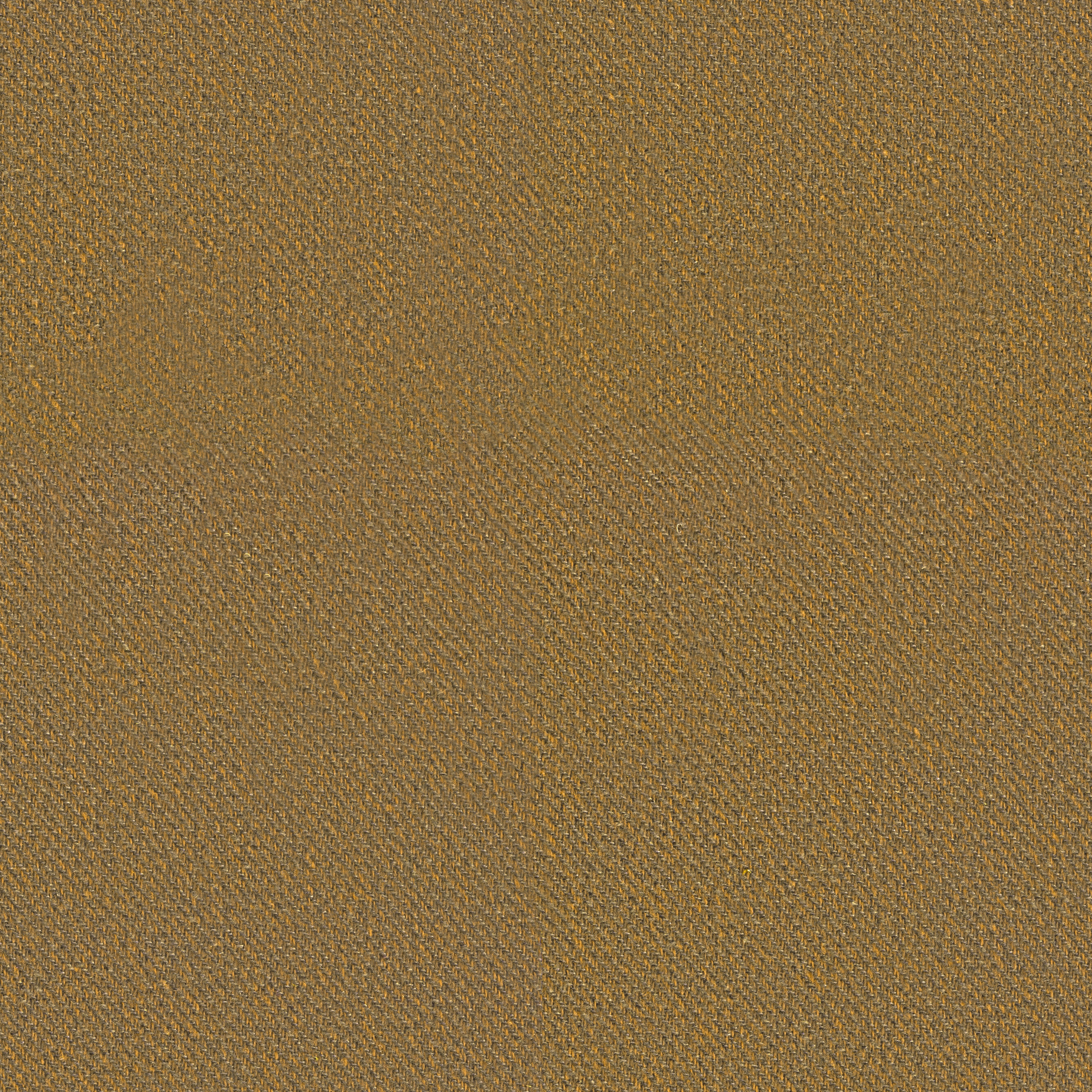 Croton | Colour Camel 86