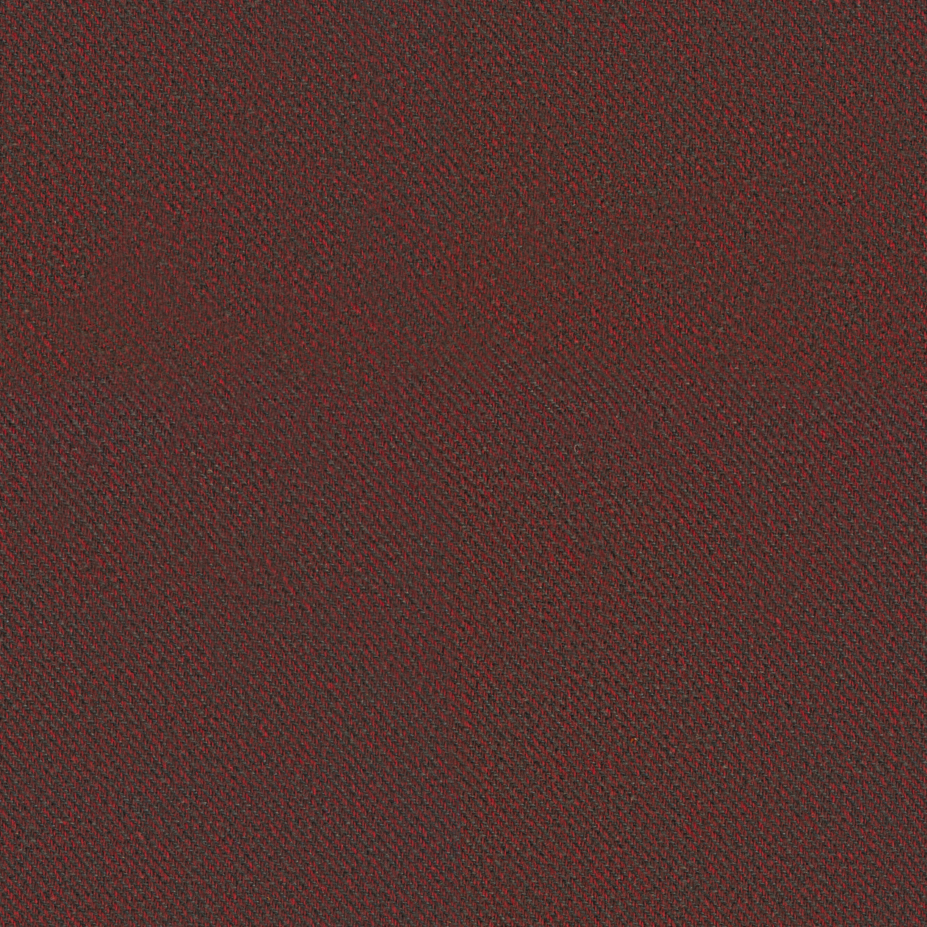 Croton | Colour Burgundy 71